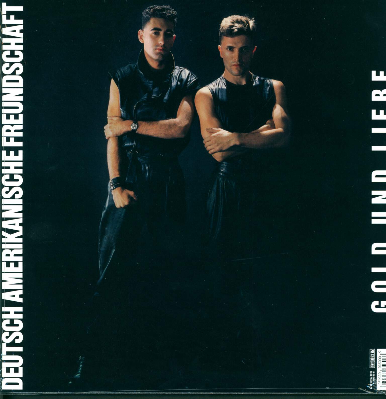 Deutsch Amerikanische Freundschaft: Gold Und Liebe, LP (Vinyl)