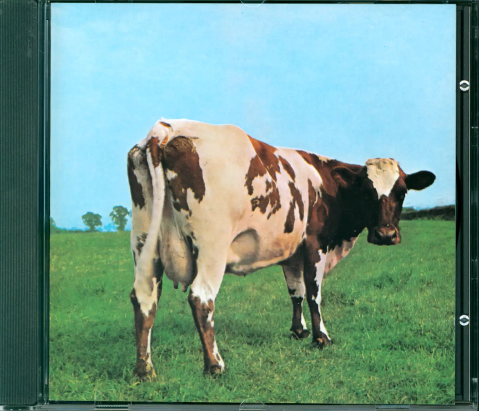 Pink Floyd: Atom Heart Mother, CD
