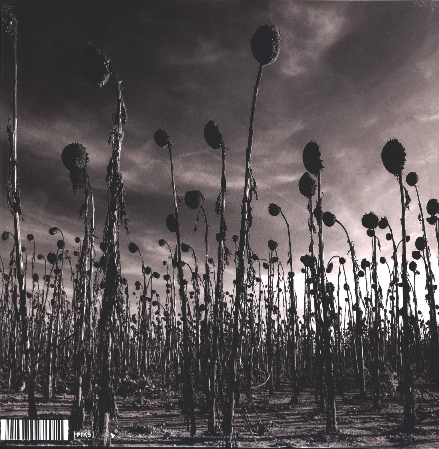 Dead Can Dance: Anastasis, 2×LP (Vinyl)