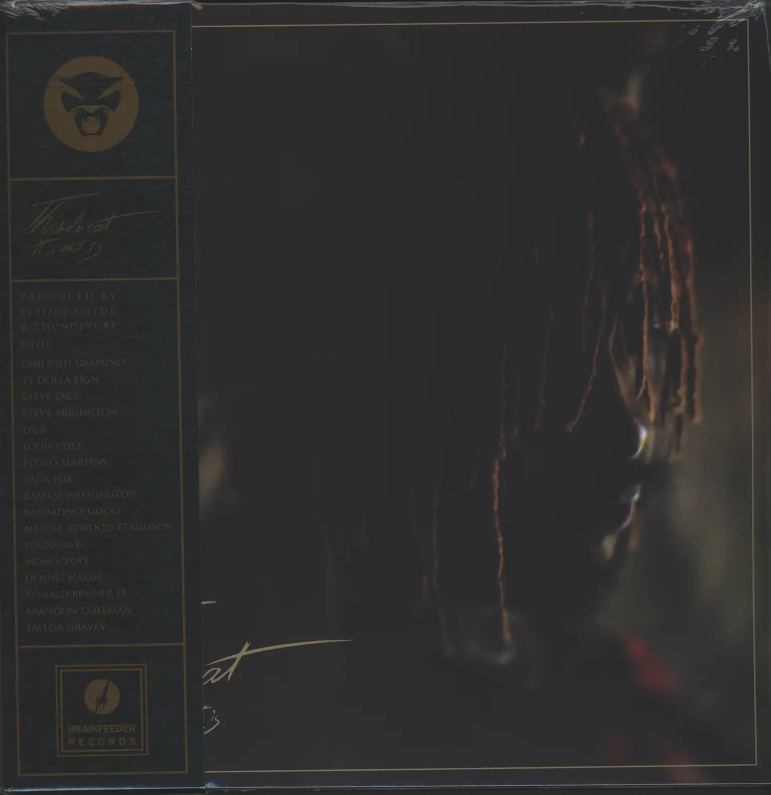 Thundercat: It Is What It Is, LP (Vinyl)