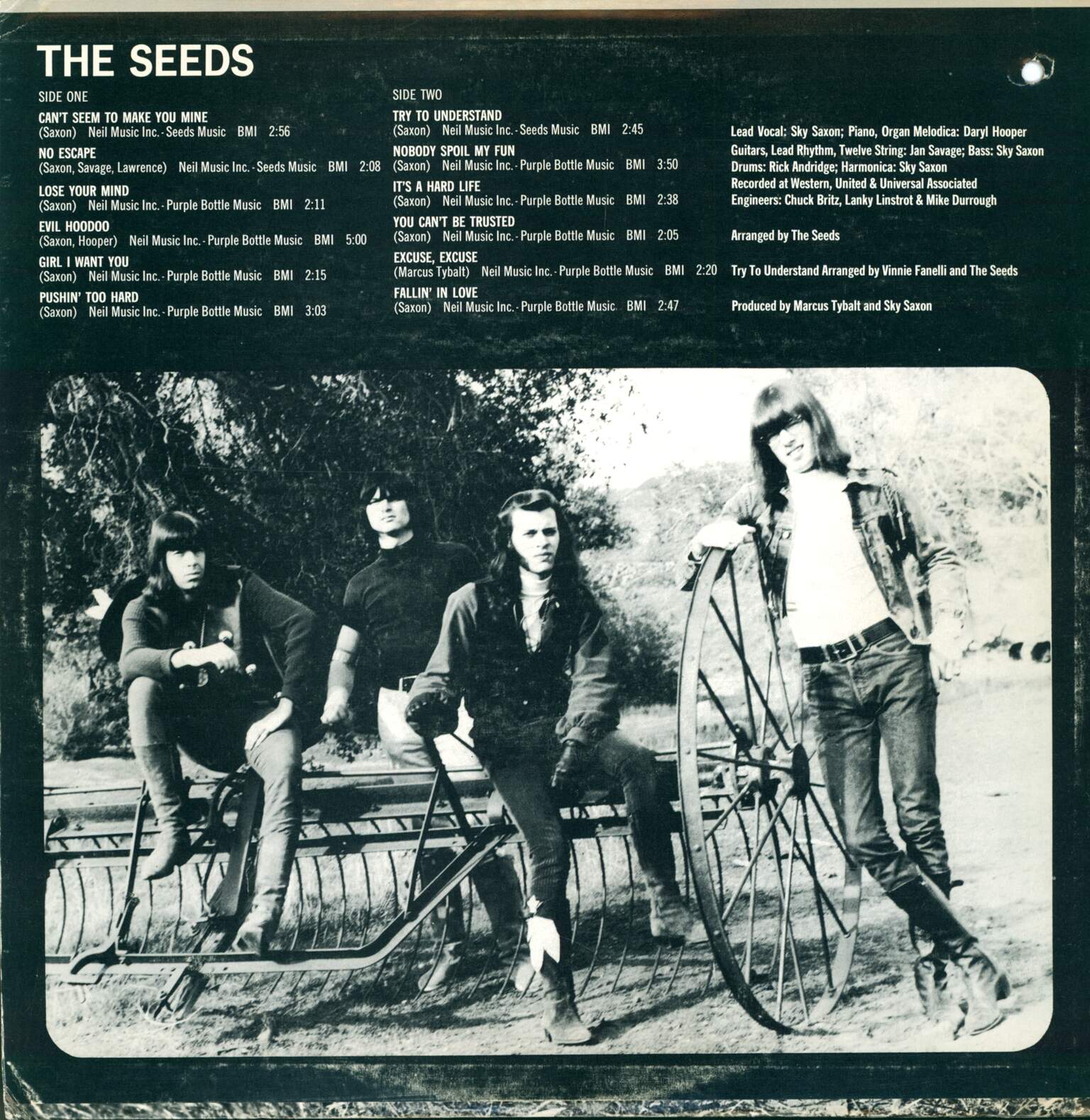 The Seeds: The Seeds, LP (Vinyl)