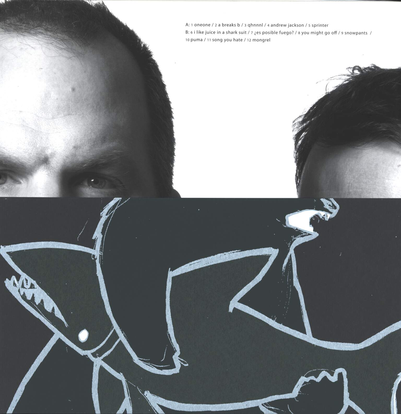 Dianogah: Qhnnnl, LP (Vinyl)