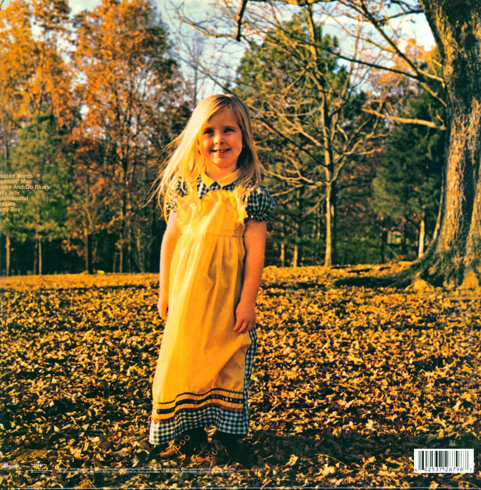 The Allman Brothers Band: Brothers And Sisters, LP (Vinyl)