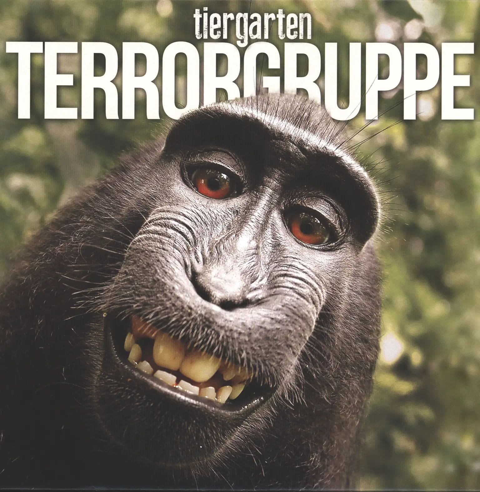 Terrorgruppe: Tiergarten, LP (Vinyl)