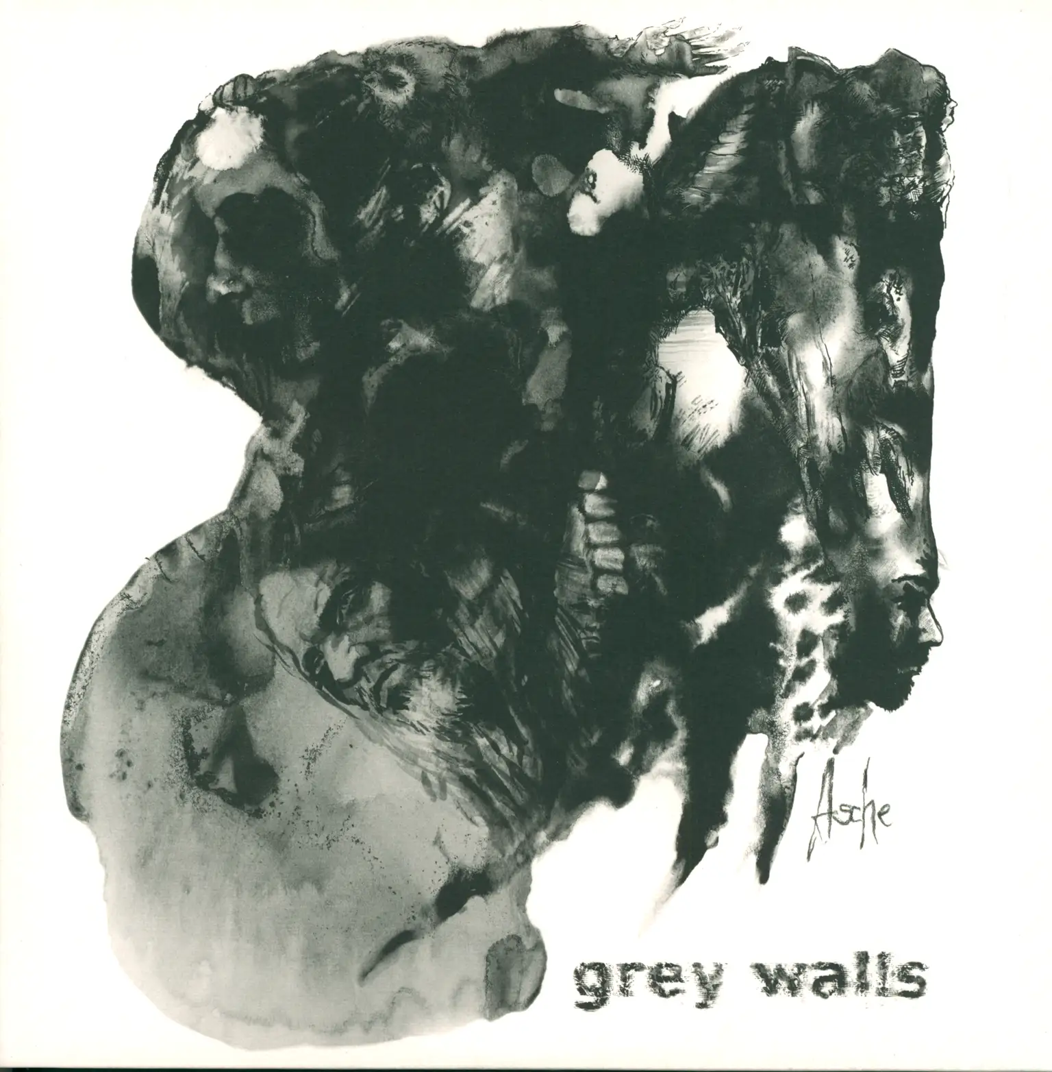 Grey Walls: Asche, LP (Vinyl)