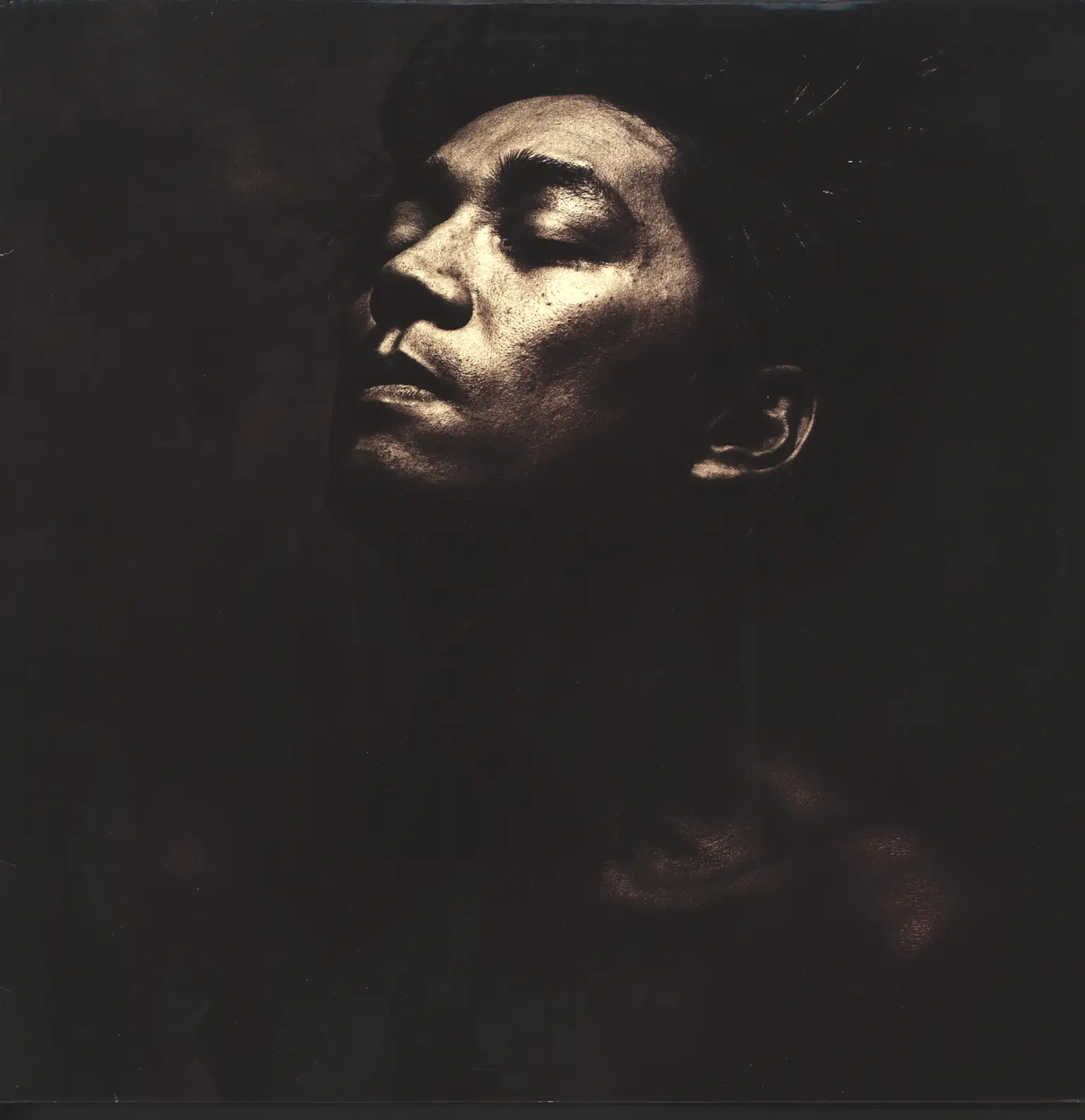 Ryuichi Sakamoto: Beauty, LP (Vinyl)
