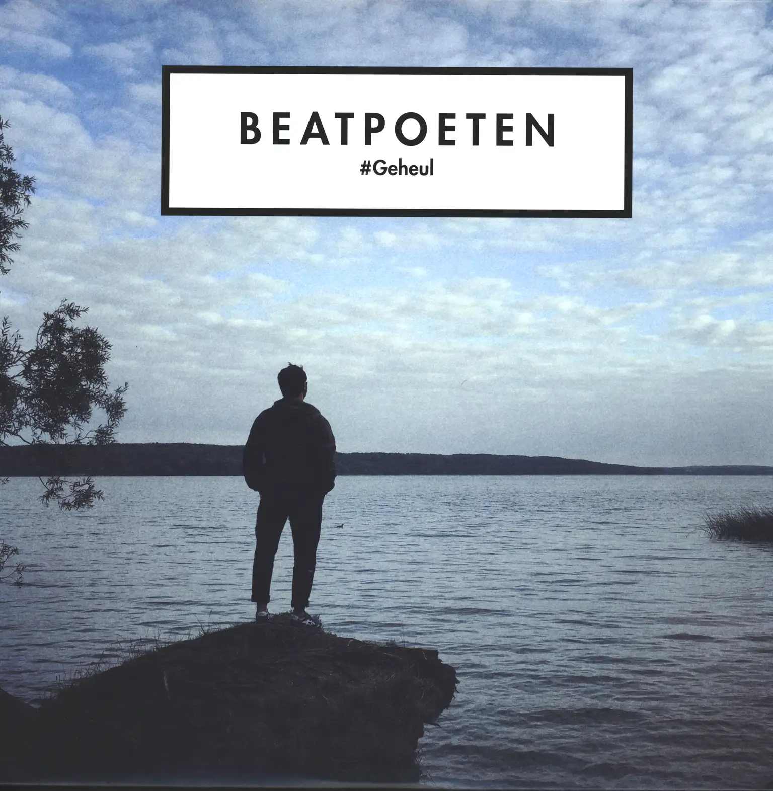 Beatpoeten: #Geheul, LP (Vinyl)