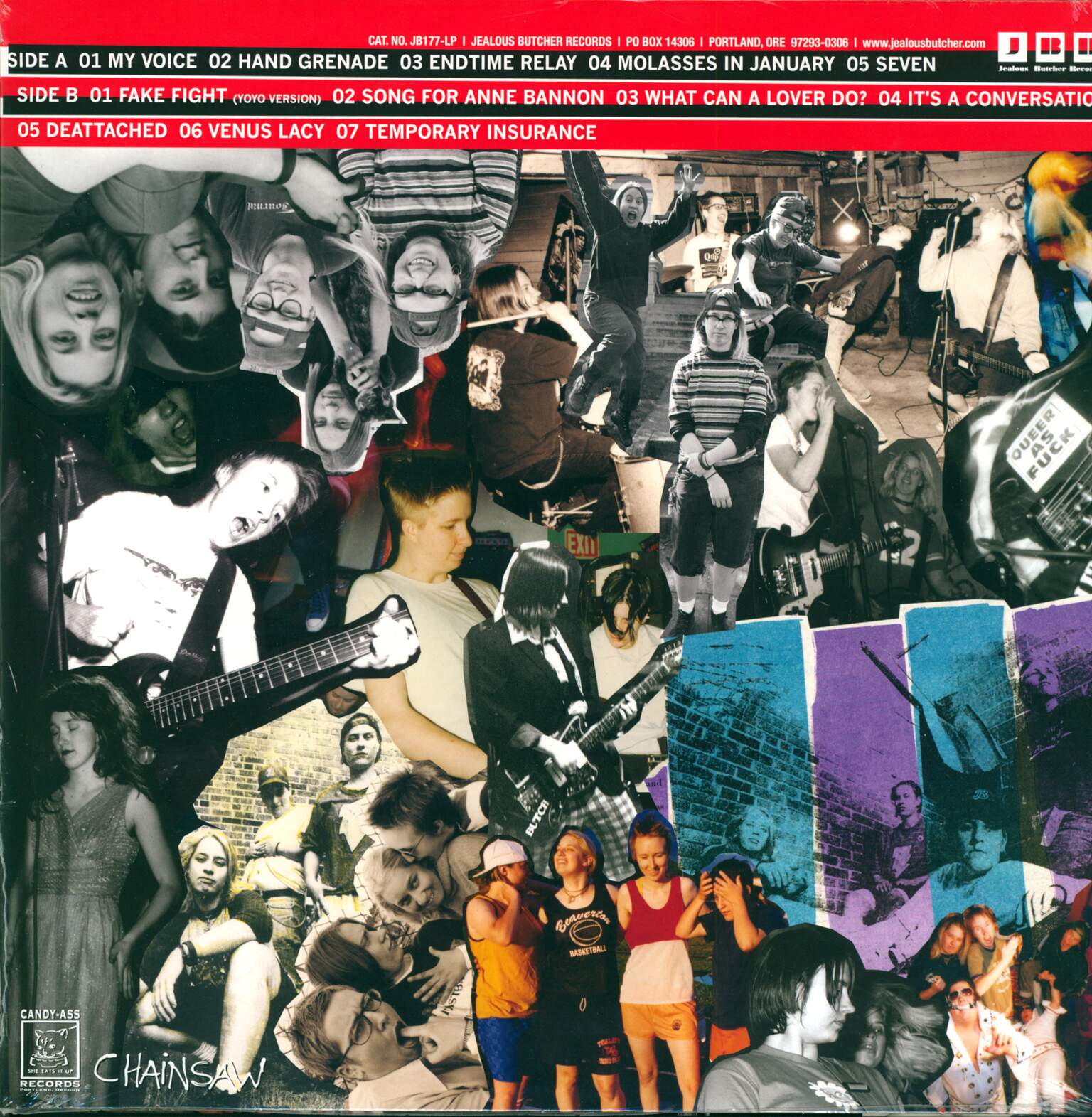 Team Dresch: Choices, Chances, Changes: Singles & Comptracks 1994-2000, LP (Vinyl)