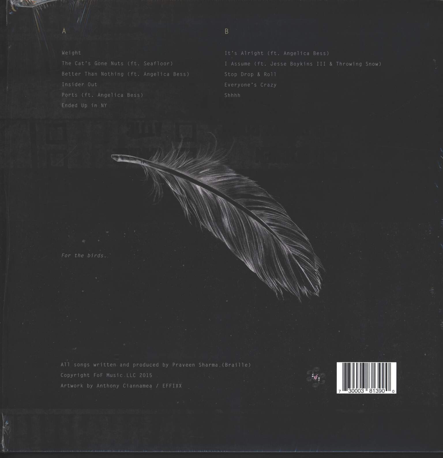 Braille: Mute Swan, LP (Vinyl)