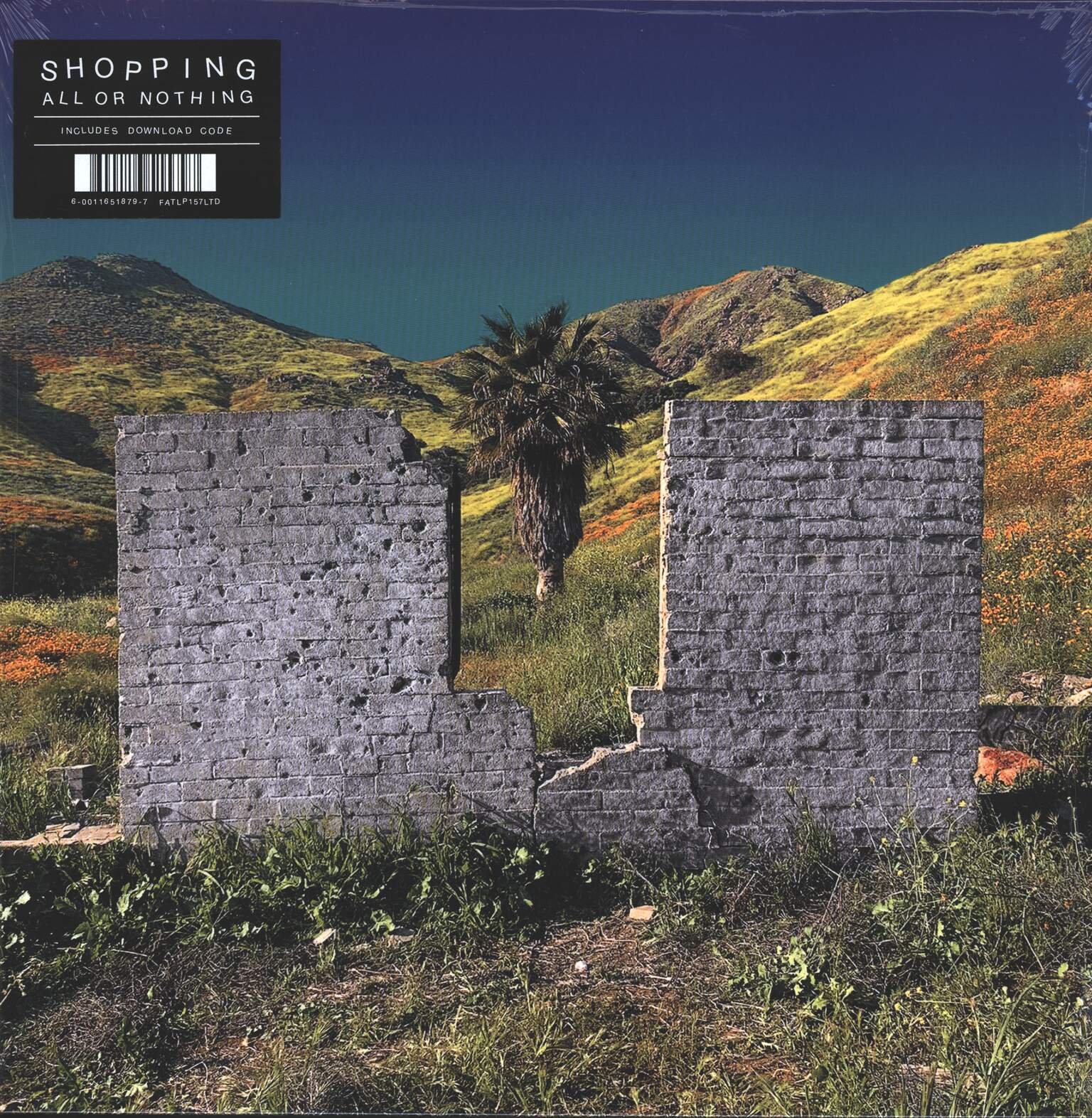 Shopping: All Or Nothing, LP (Vinyl)