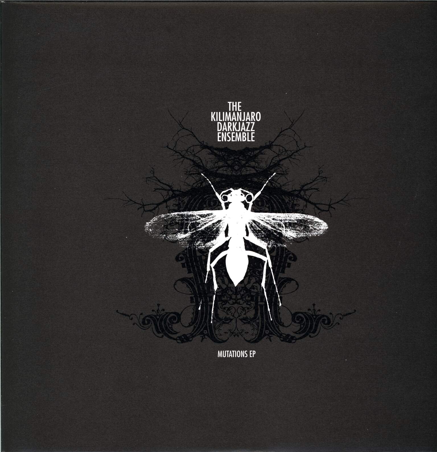 Kilimanjaro Darkjazz Ensemble: Mutations EP, 1×LP (Vinyl)