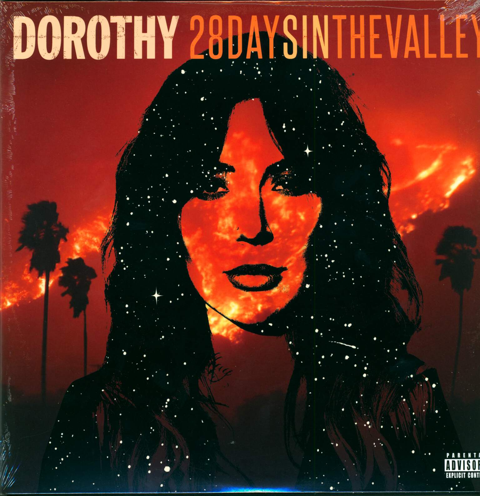 Dorothy: 28 Days In The Valley, 1×LP (Vinyl)