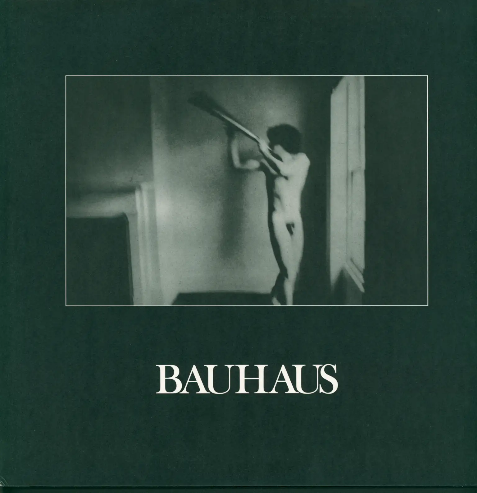 Bauhaus: In The Flat Field, 1×LP (Vinyl)