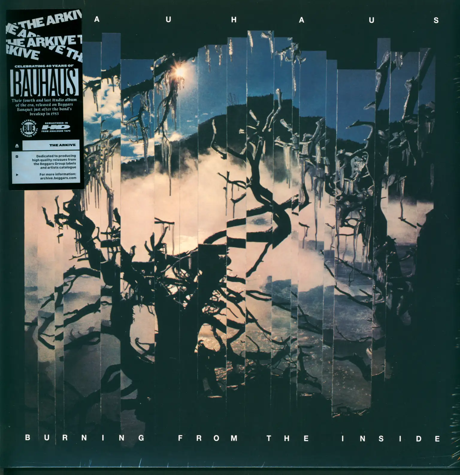 Bauhaus: Burning From The Inside, 1×LP (Vinyl)