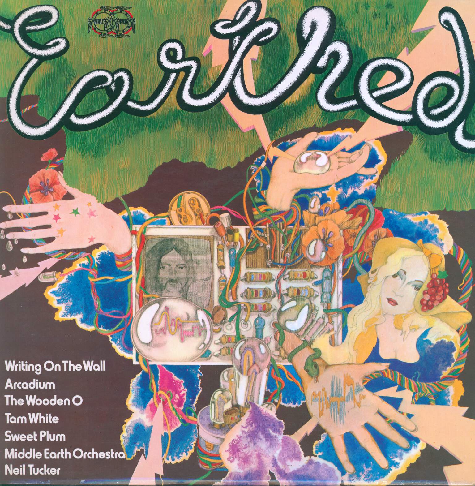 Various: Earthed, 1×LP (Vinyl)