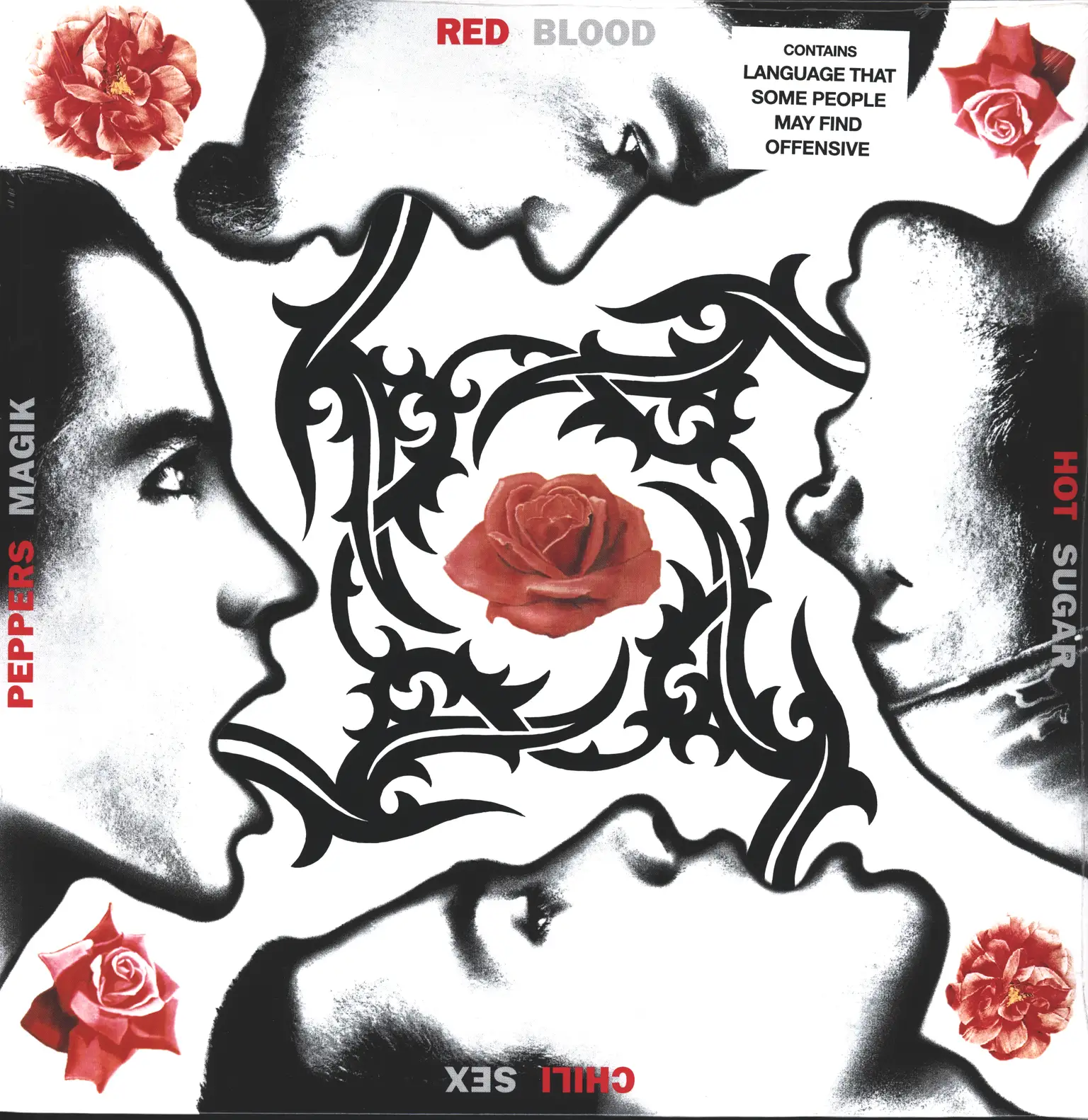 Red Hot Chili Peppers: Blood Sugar Sex Magik, 2×LP (Vinyl)