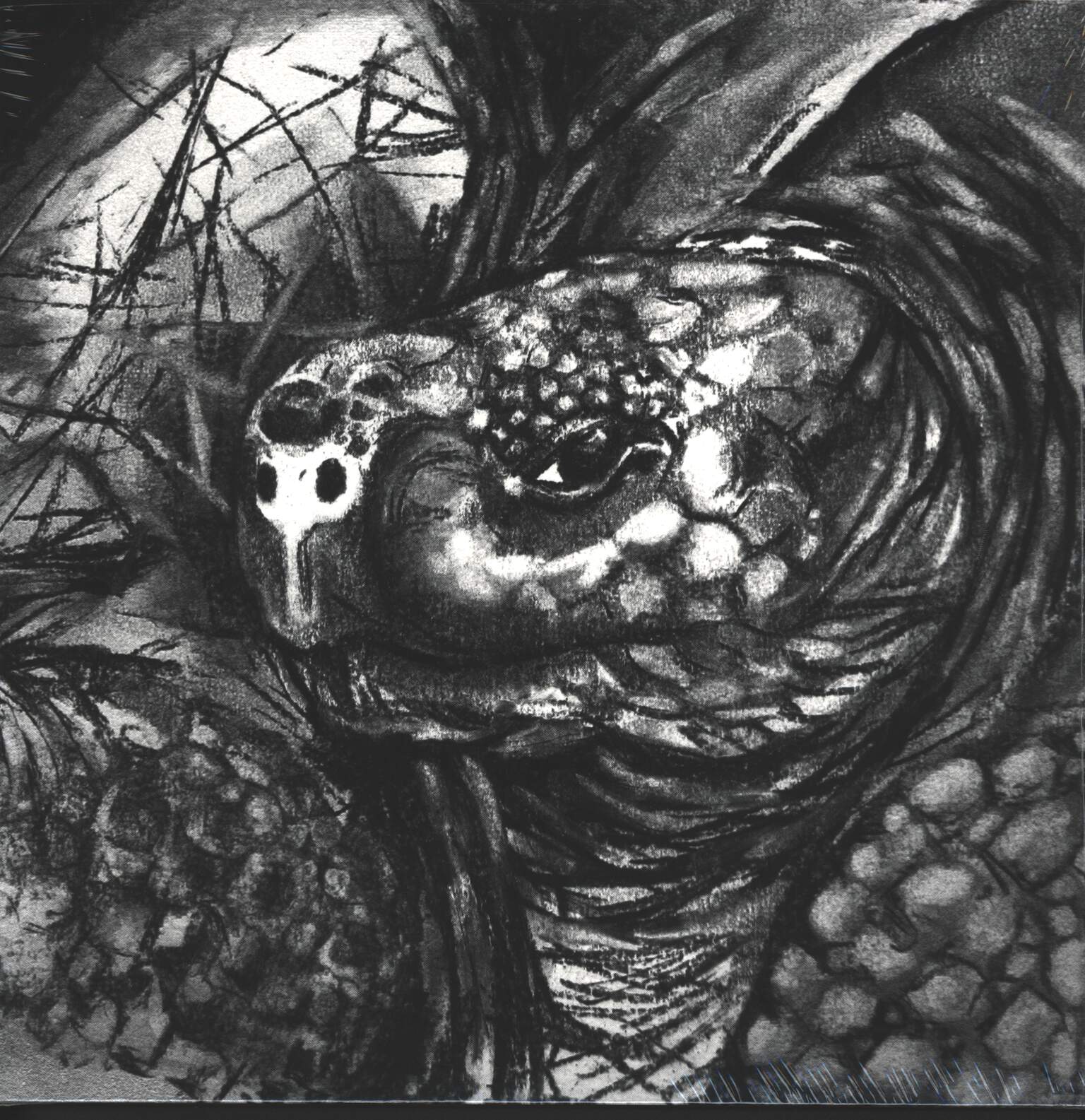 Tortuga: Tortuga, 1×LP (Vinyl)