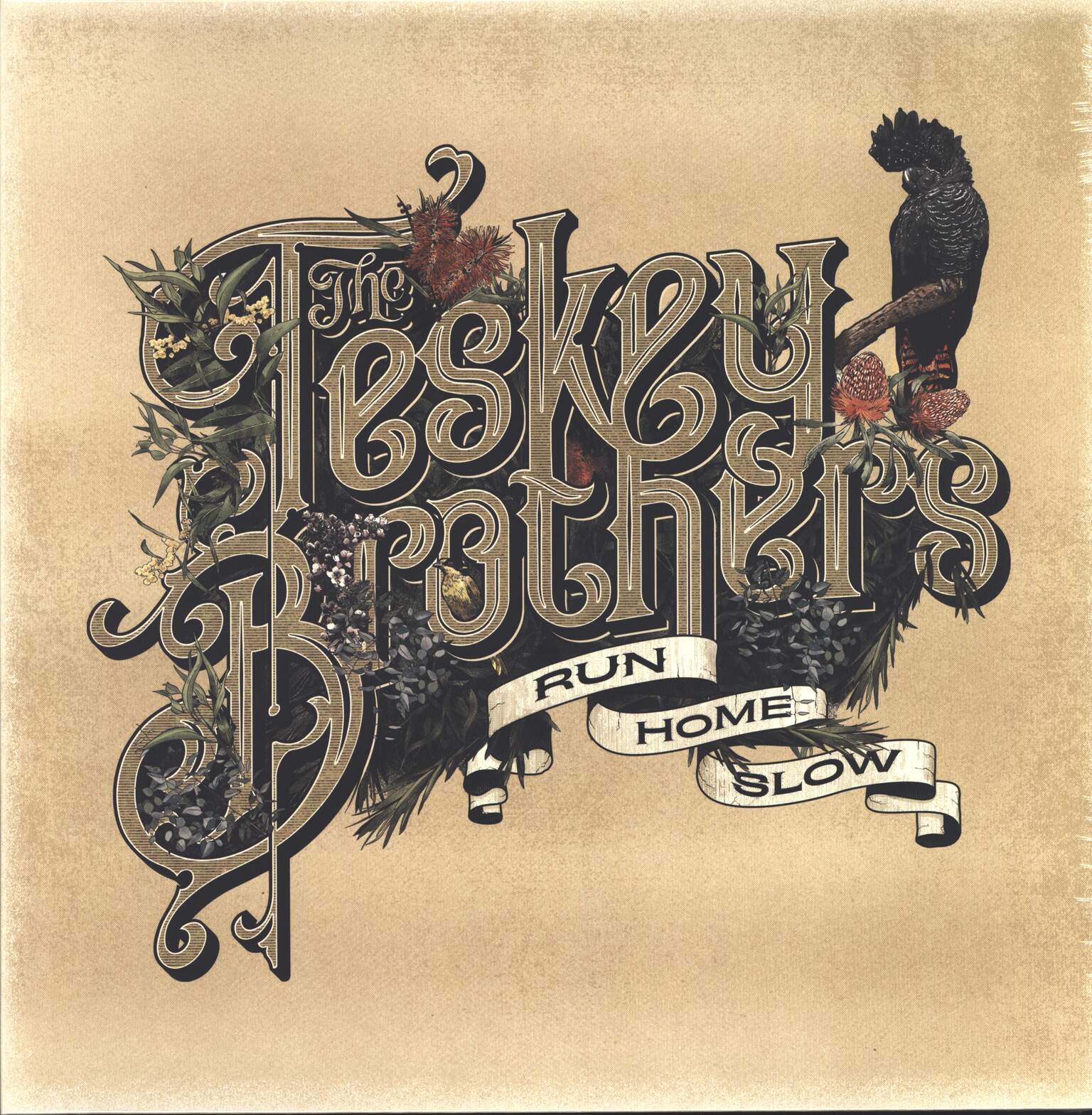 The Teskey Brothers: Run Home Slow, 1×LP (Vinyl)