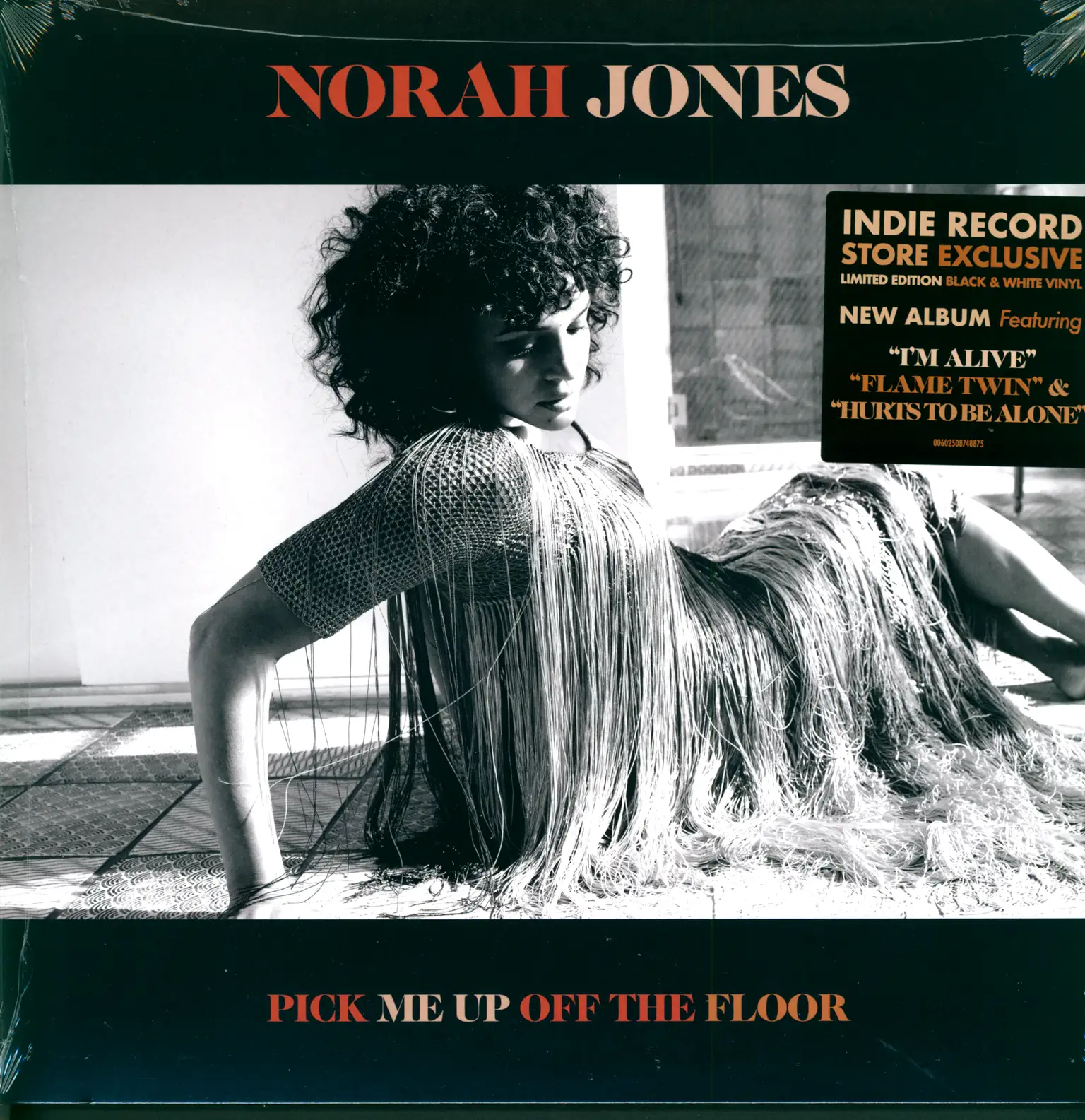 Norah Jones: Pick Me Up Off The Floor, LP (Vinyl)