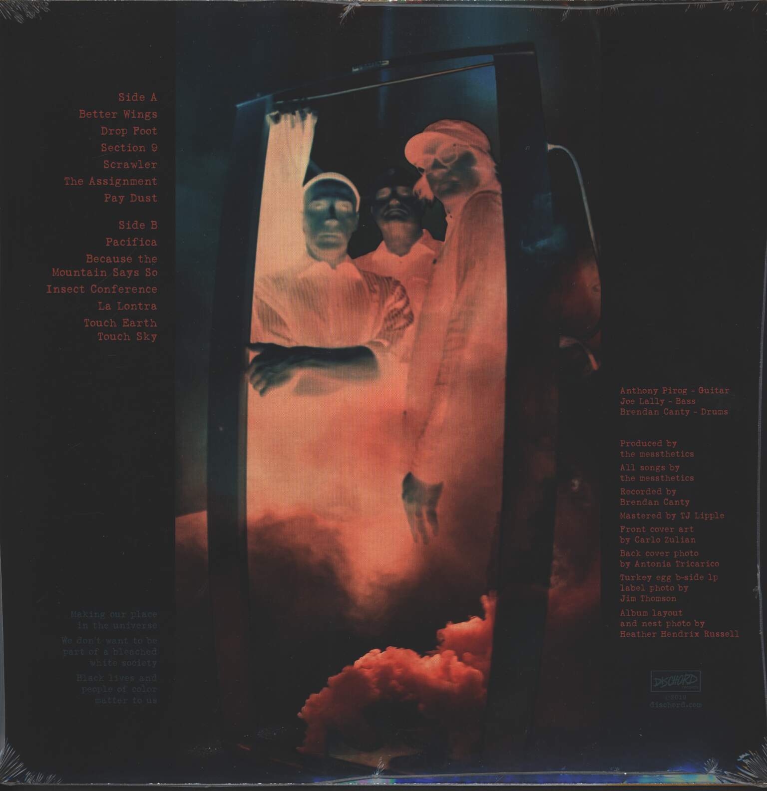 The Messthetics: Anthropocosmic Nest, 1×LP (Vinyl)