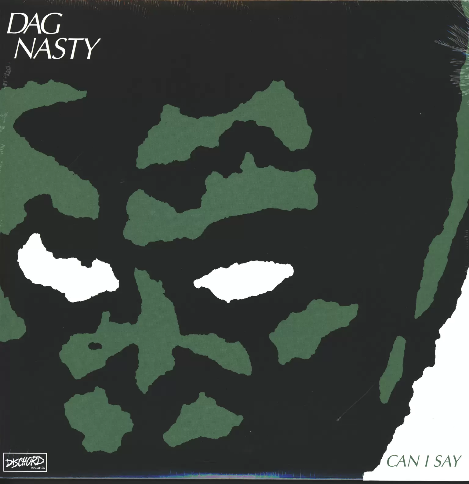Dag Nasty: Can I Say, 1×LP (Vinyl)