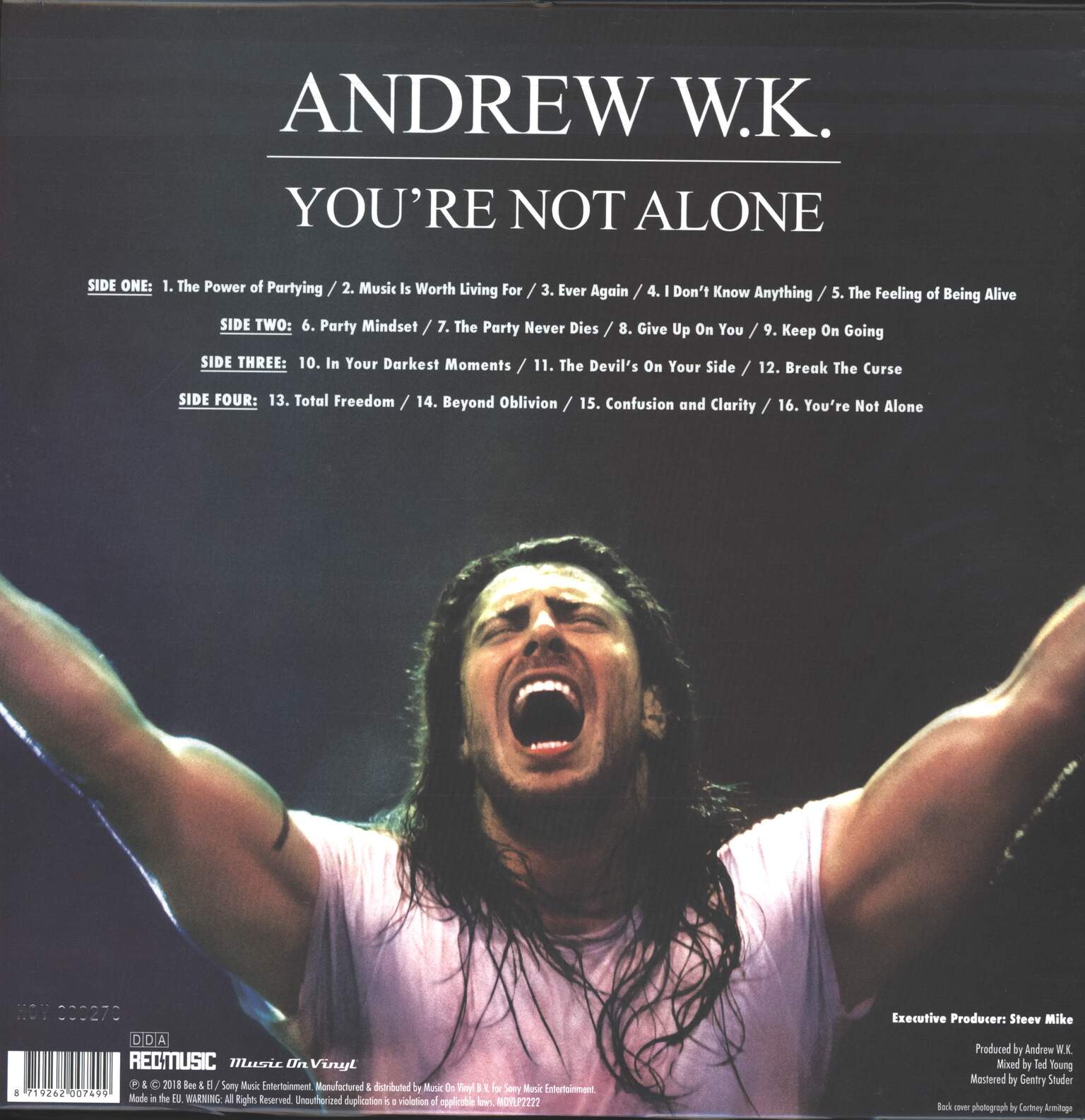 Andrew W.K.: You're Not Alone, 1×LP (Vinyl), 1×LP (Vinyl)