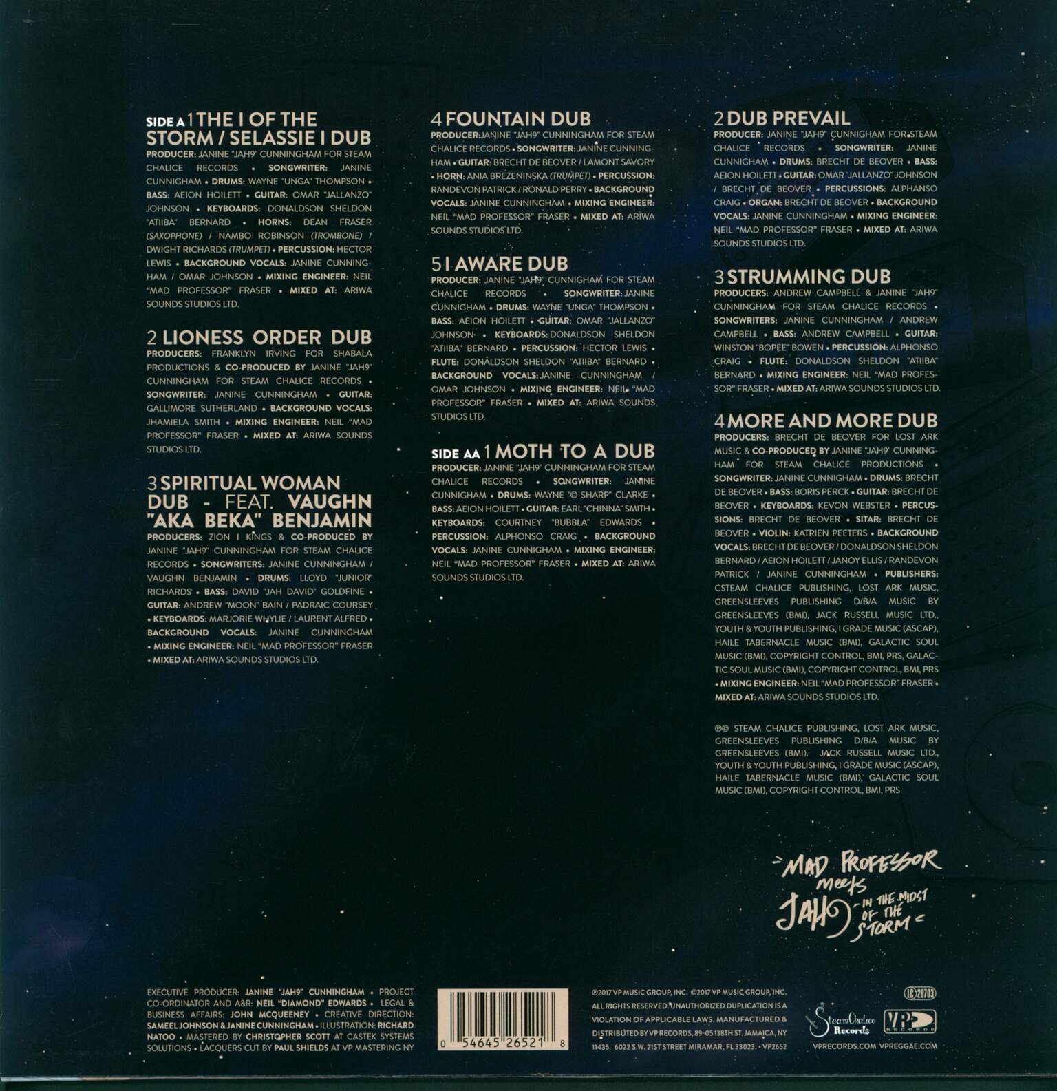 Mad Professor: In The Midst Of The Storm, 1×LP (Vinyl)