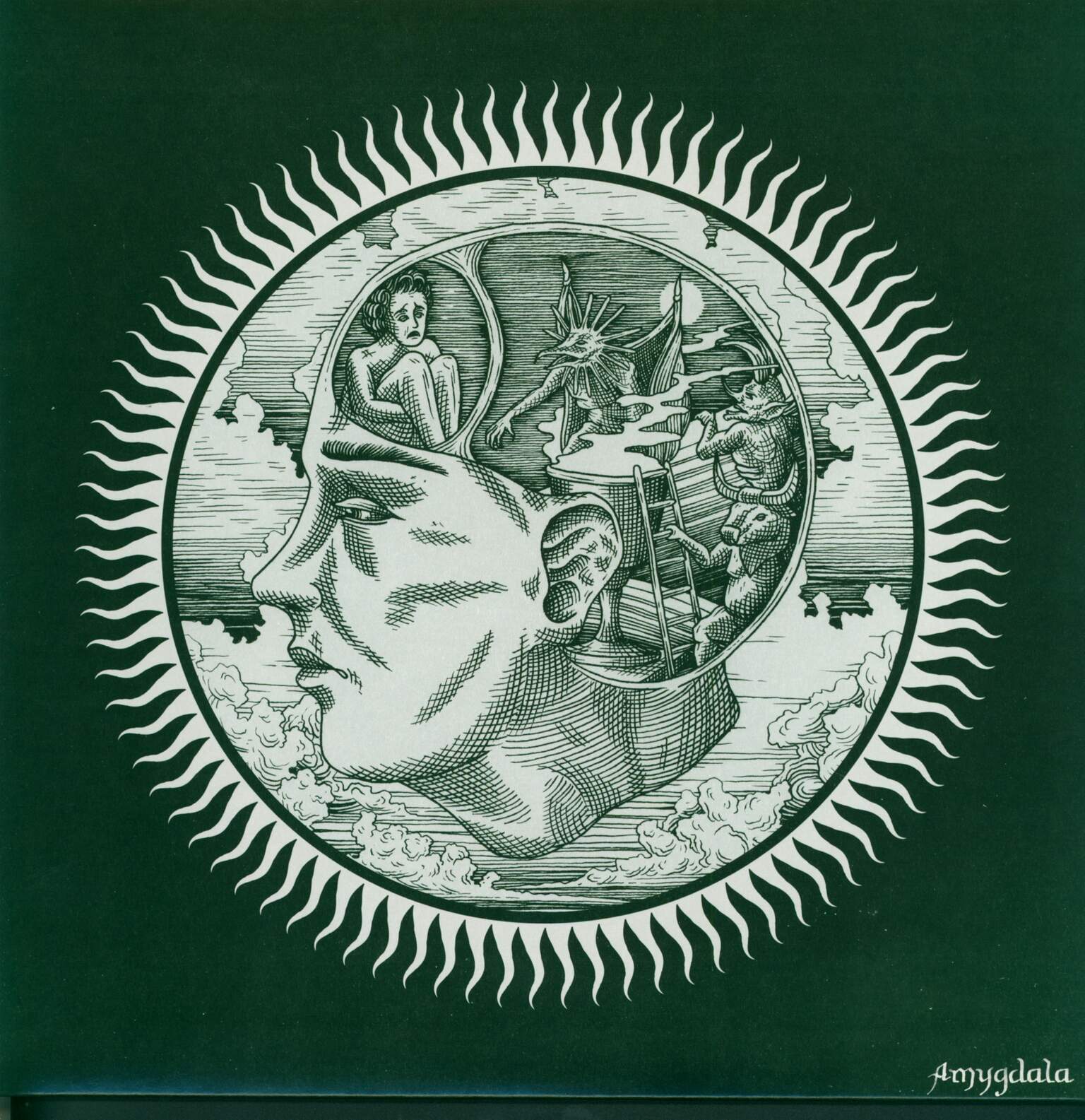 Slow Green Thing: Amygdala, 1×LP (Vinyl)
