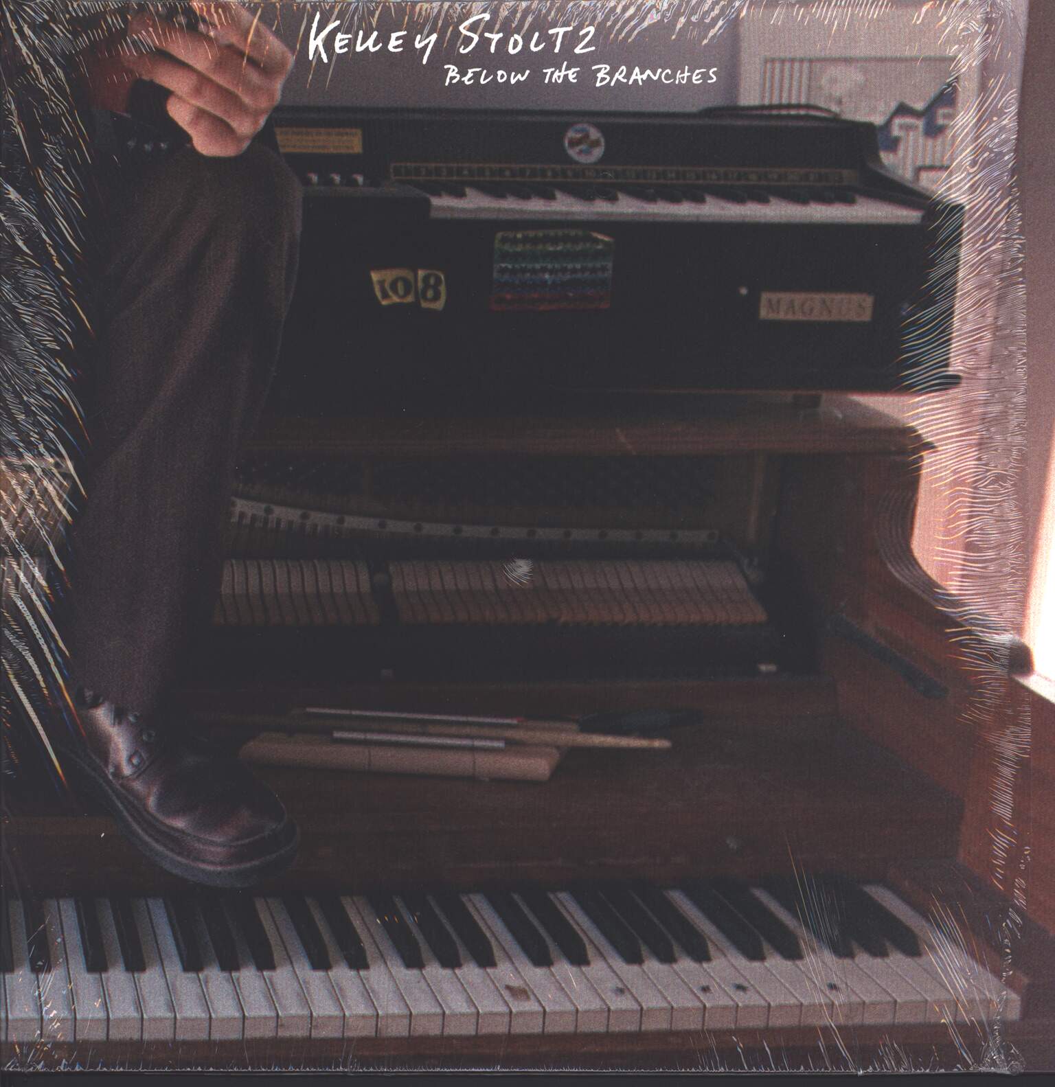 Kelley Stoltz: Below The Branches, 1×LP (Vinyl)