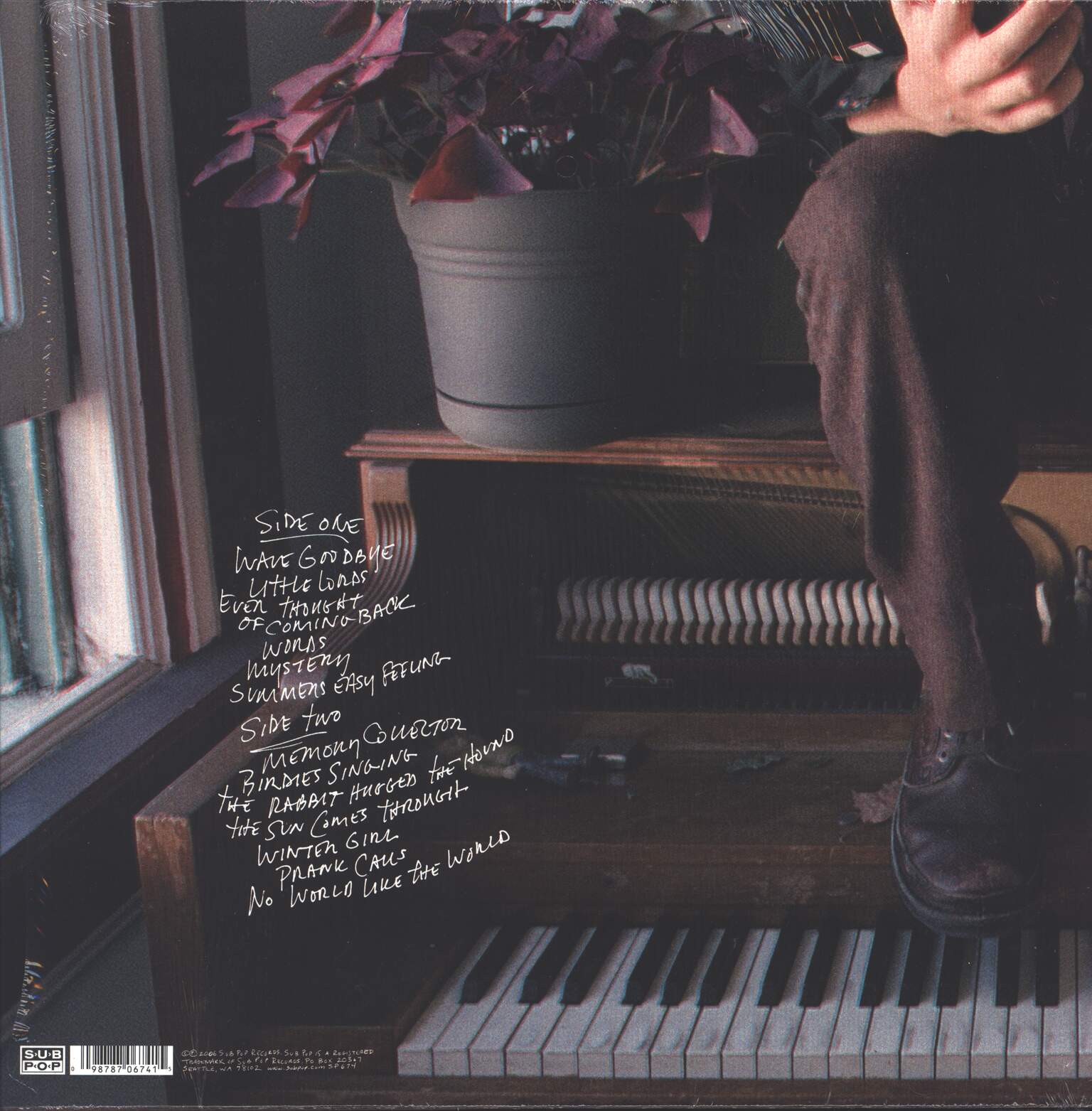 Kelley Stoltz: Below The Branches, 1×LP (Vinyl)