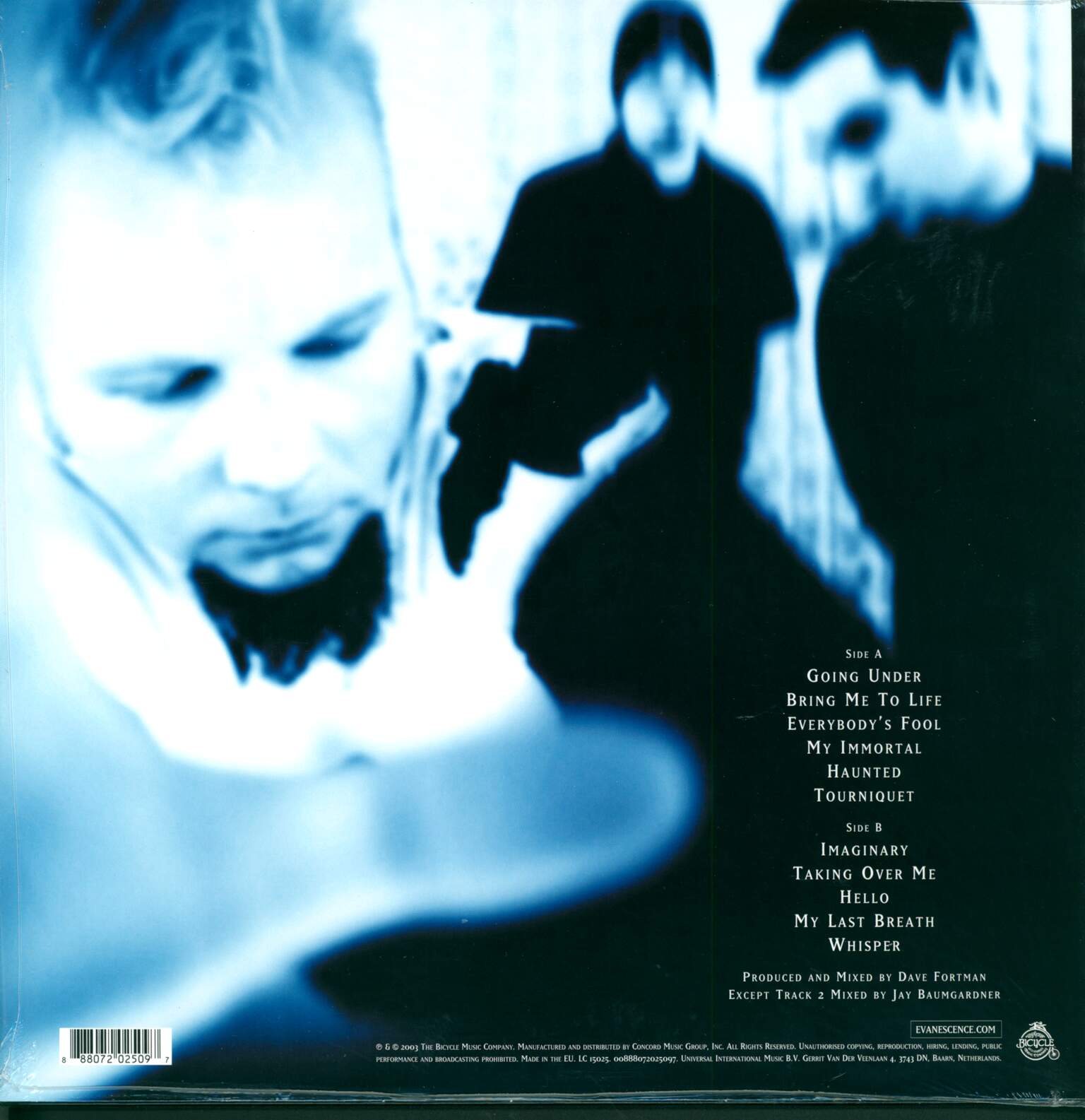 Evanescence: Fallen, 1×LP (Vinyl)