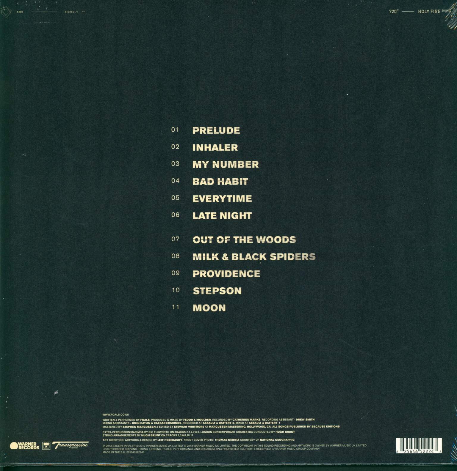 Foals: Holy Fire, 1×LP (Vinyl)
