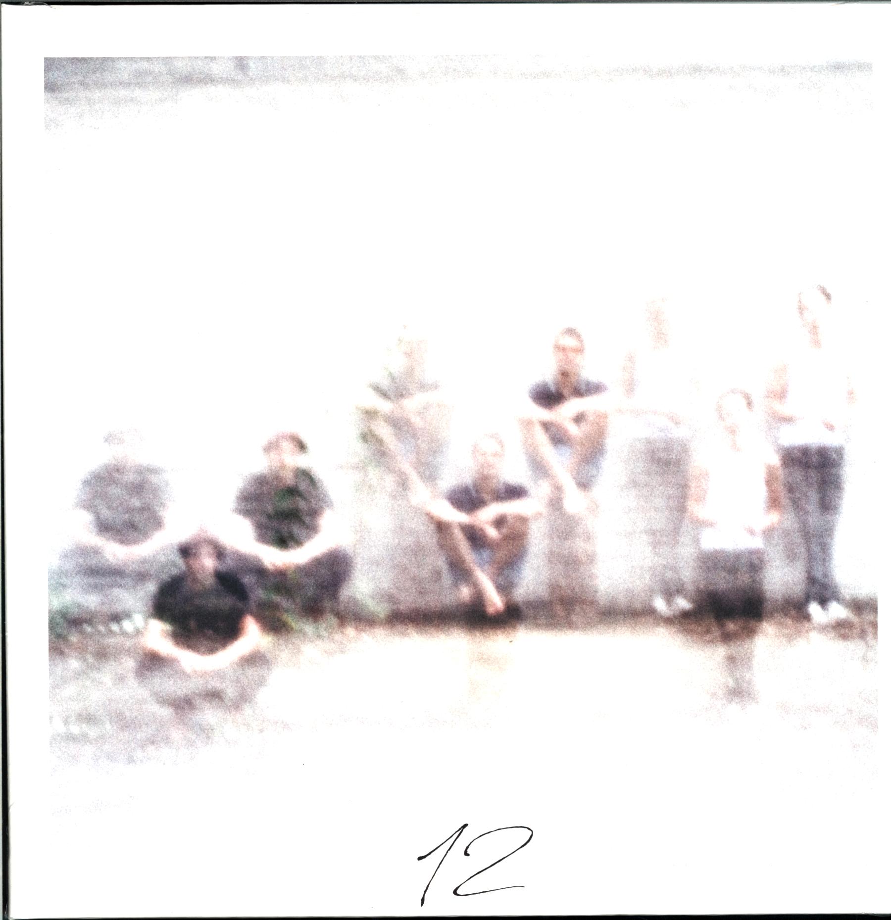 AnnenMayKantereit: 12, LP (Vinyl)