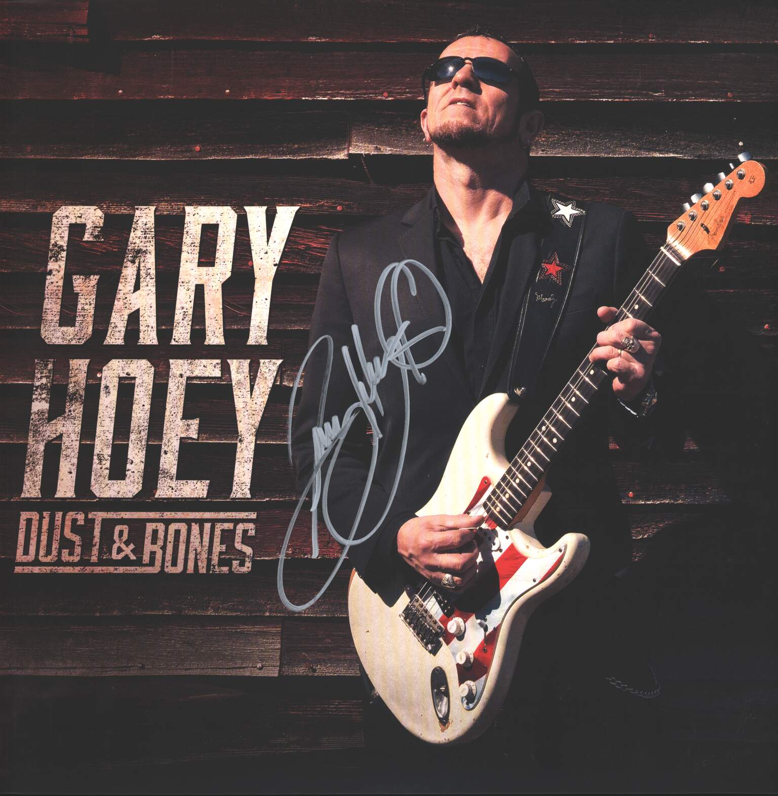 Gary Hoey: Dust & Bones, 1×LP (Vinyl)