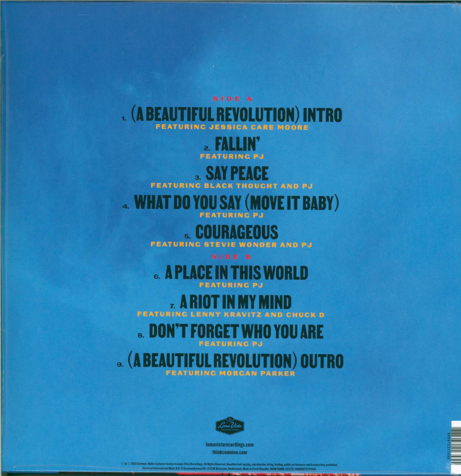 Common: A Beautiful Revolution (PT 1), 1×LP (Vinyl)