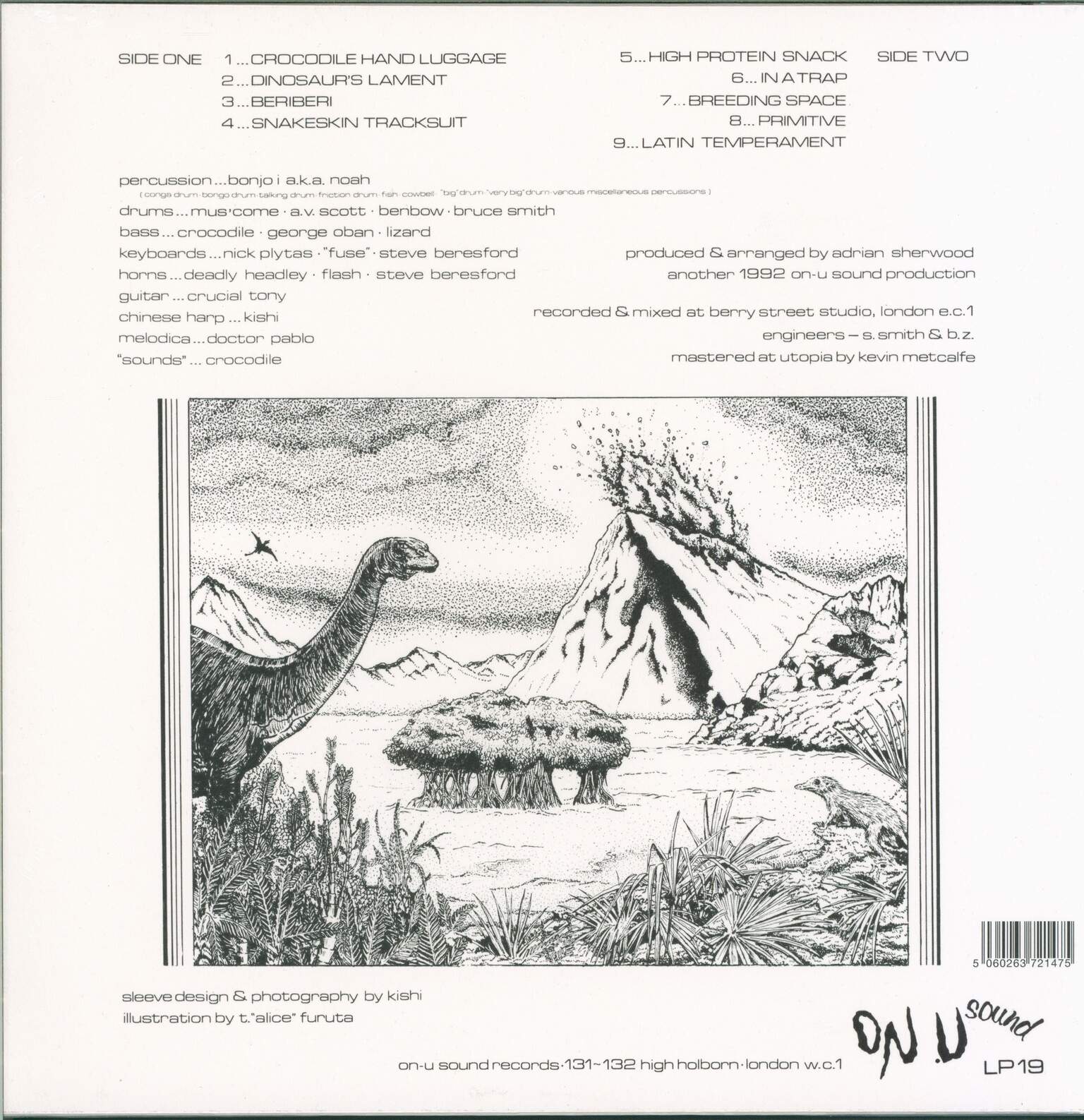 African Head Charge: Environmental Studies, 1×LP (Vinyl)