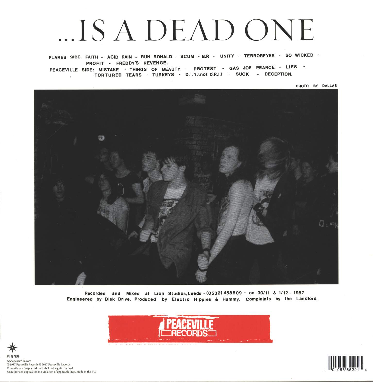 Electro Hippies: The Only Good Punk... Is A Dead One, 1×LP (Vinyl)
