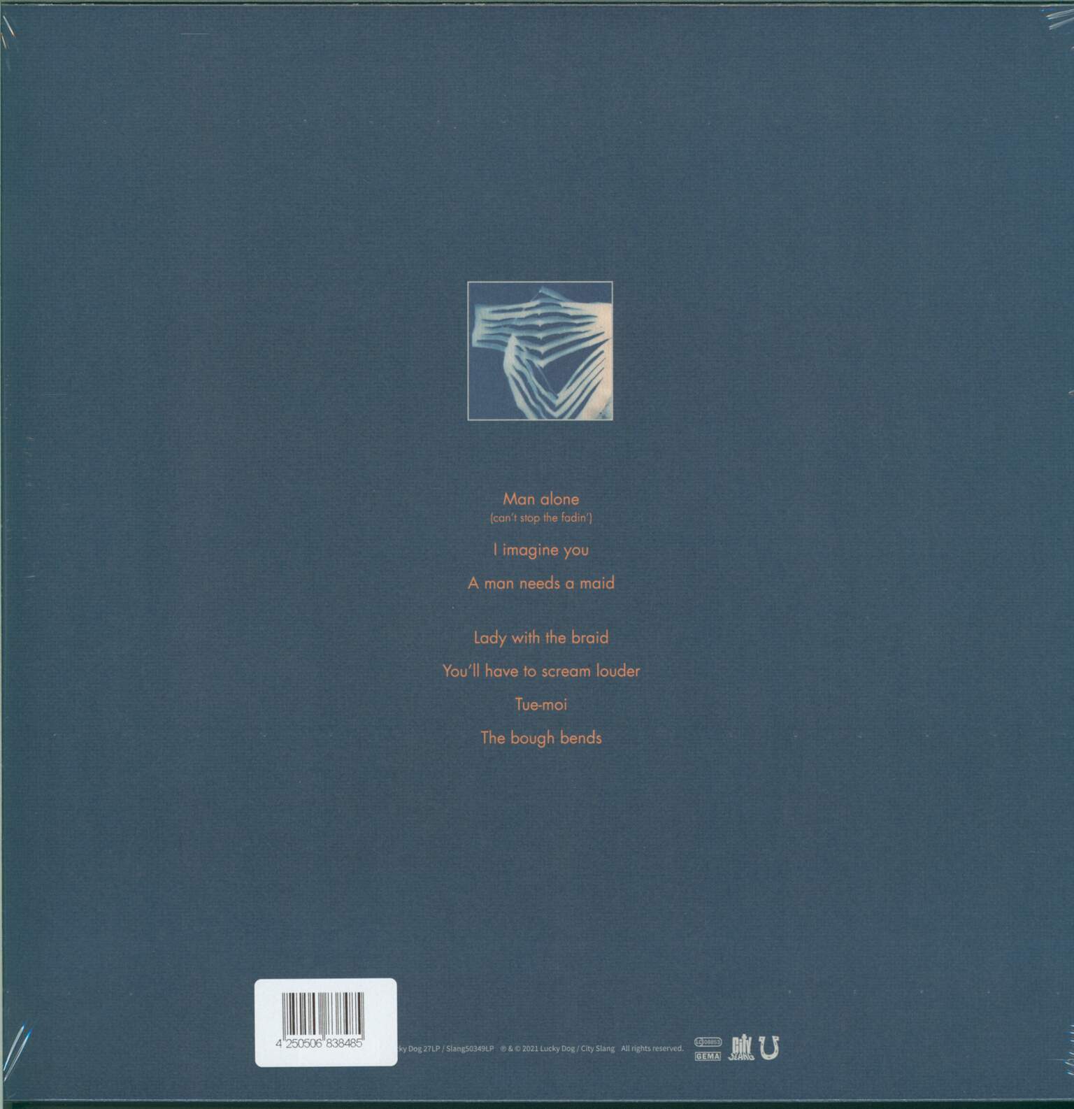 Tindersticks: Distractions, 1×LP (Vinyl)