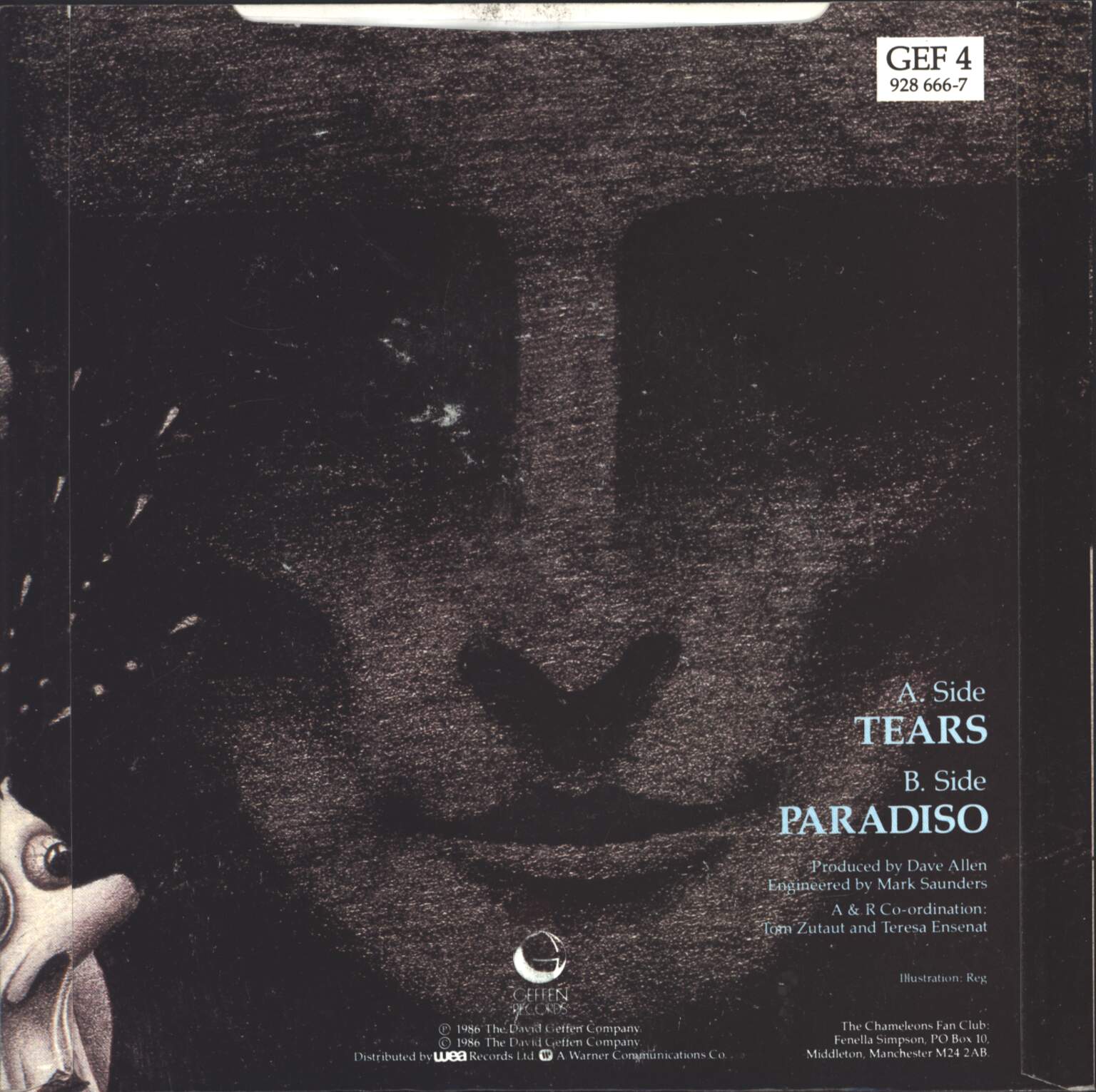The Chameleons: Tears / Paradiso, 1×7" Single (Vinyl)