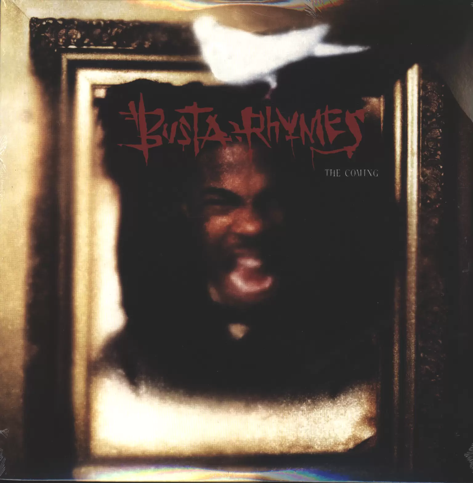 Busta Rhymes: The Coming, 2×LP (Vinyl)