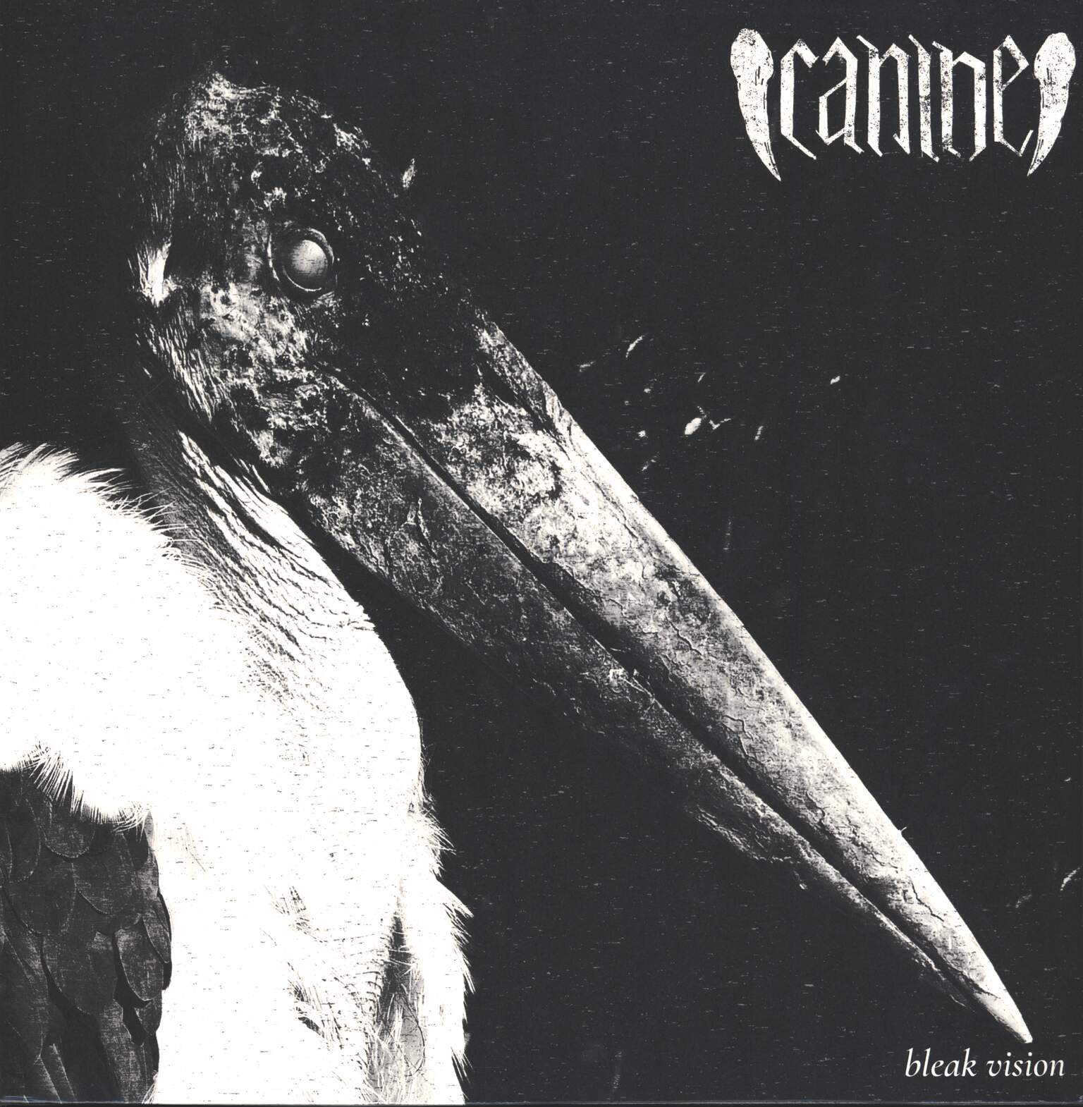 Canine: Bleak Vision, 1×LP (Vinyl)