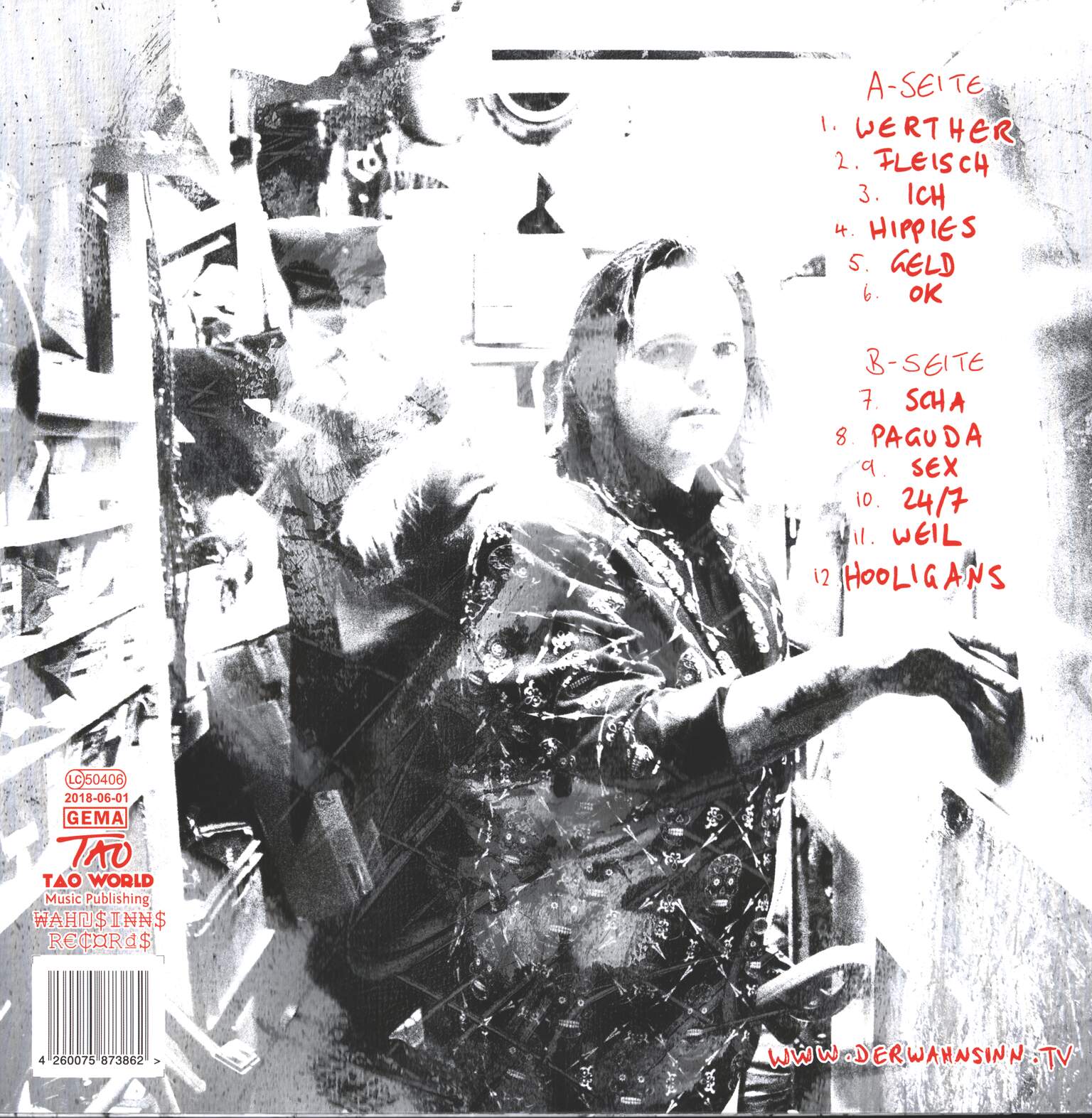 Der Wahnsinn: Aus Liebe Zum System, 1×LP (Vinyl)