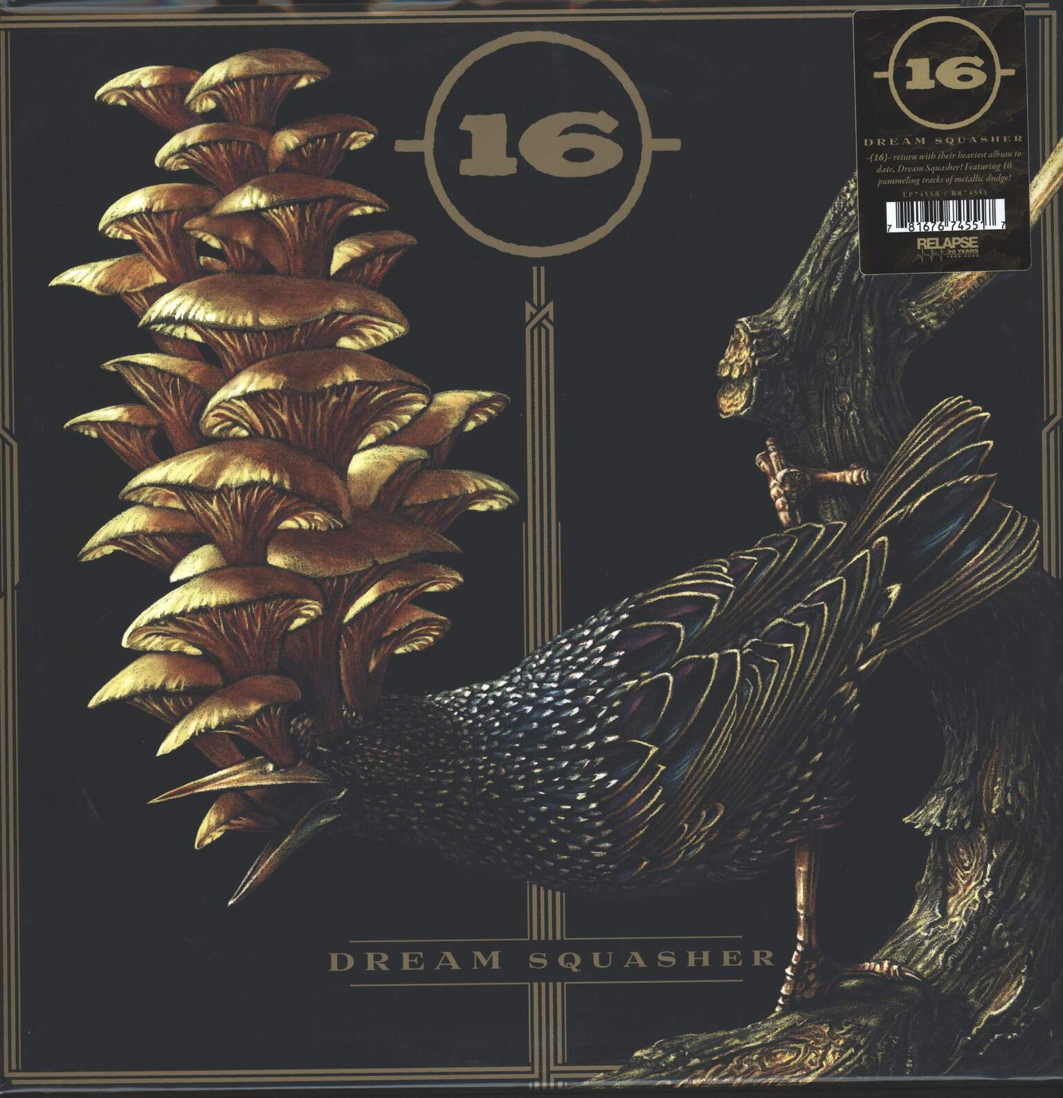 16: Dream Squasher, 1×LP (Vinyl)