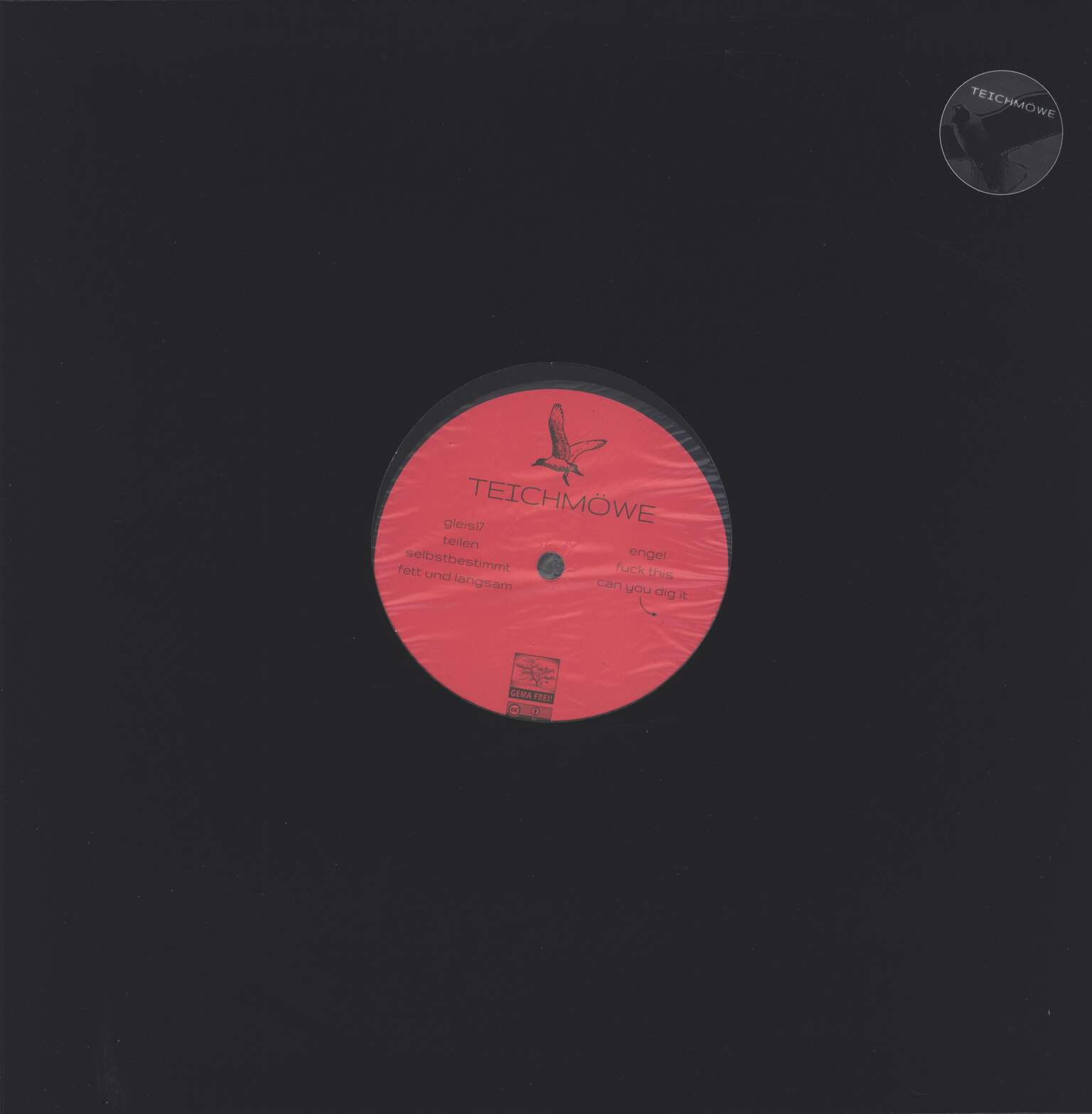 Teichmöwe: Teichmöwe, 1×LP (Vinyl)