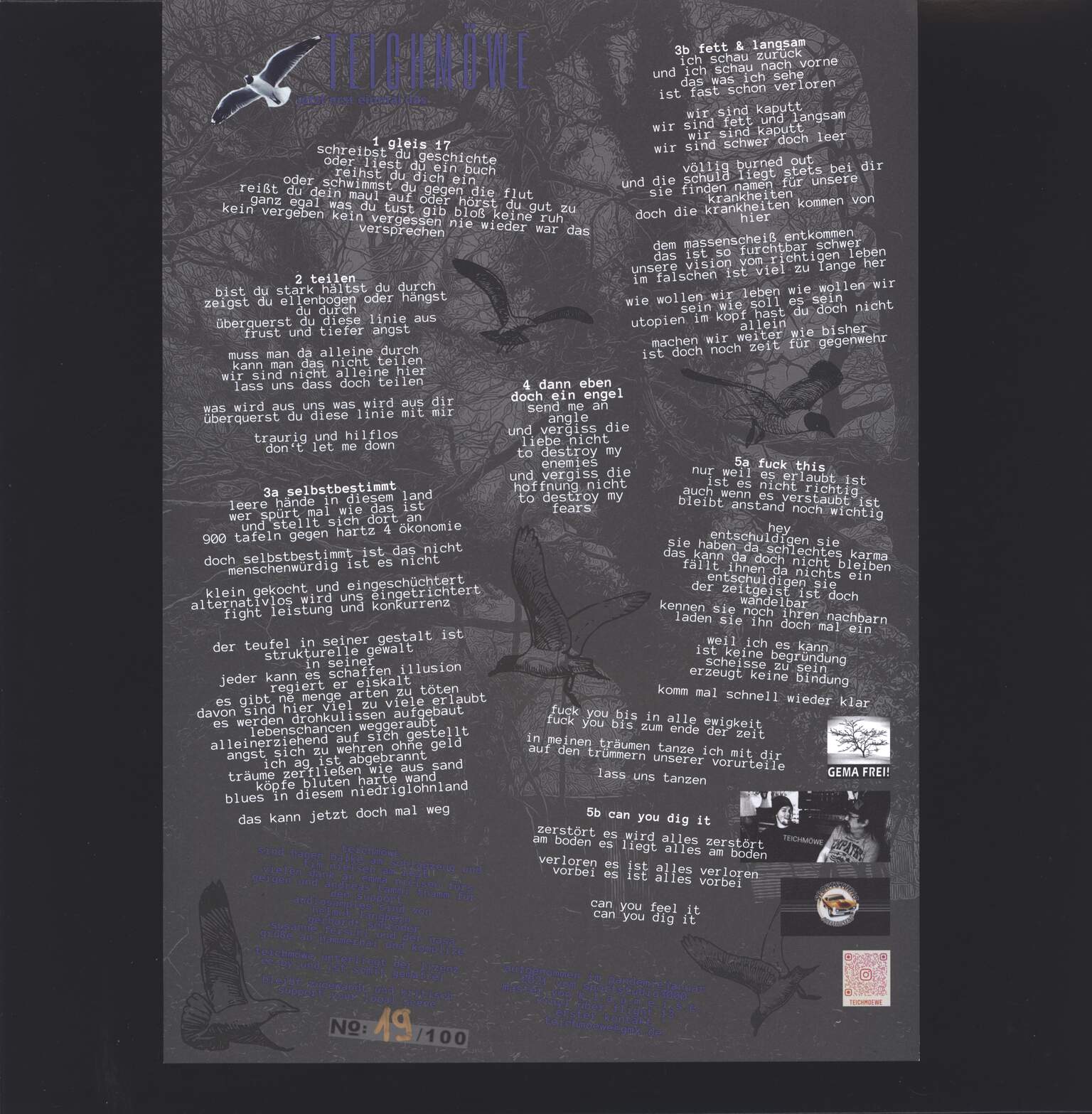 Teichmöwe: Teichmöwe, 1×LP (Vinyl)