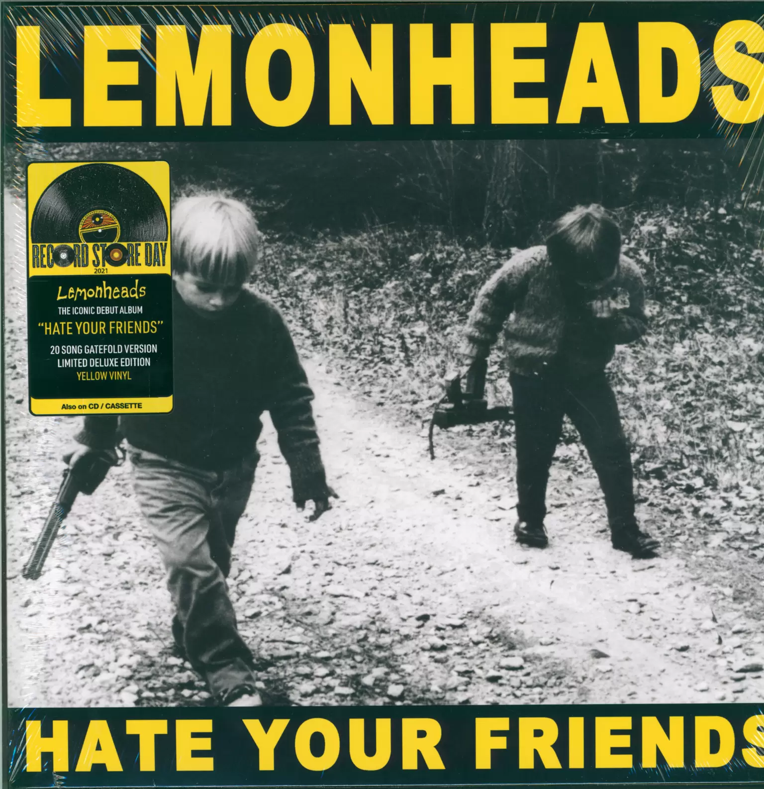 The Lemonheads: Hate Your Friends, 1×LP (Vinyl)
