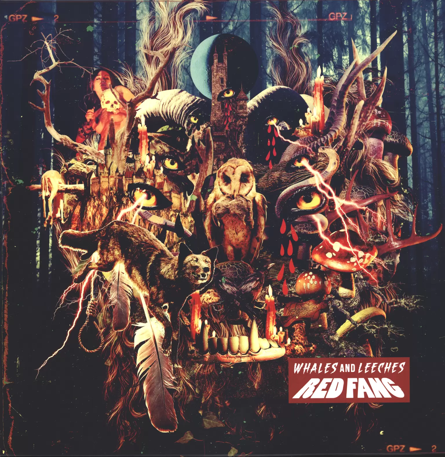 Red Fang: Whales And Leeches, 1×LP (Vinyl)
