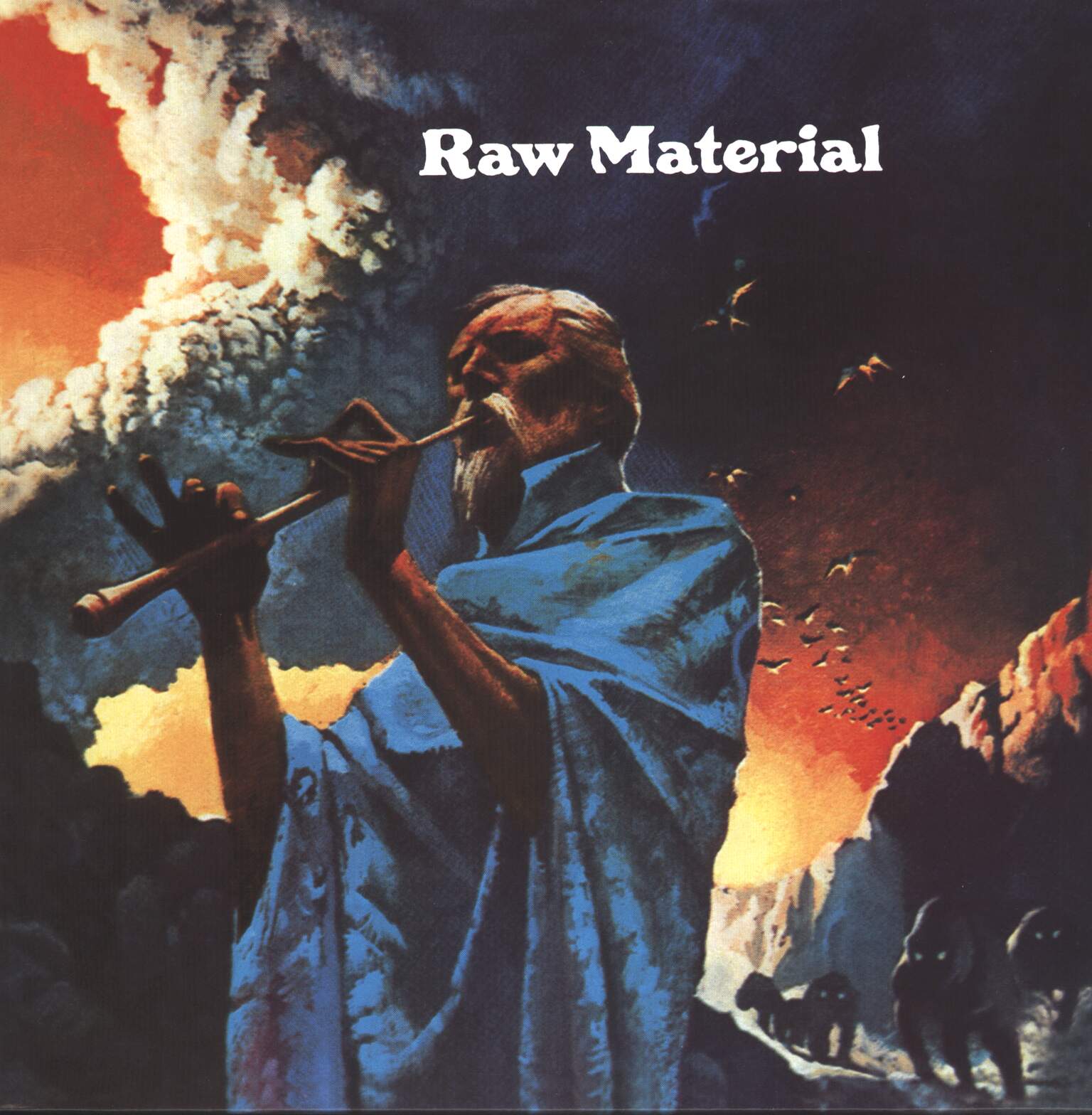 Raw Material: Raw Material, 1×LP (Vinyl)