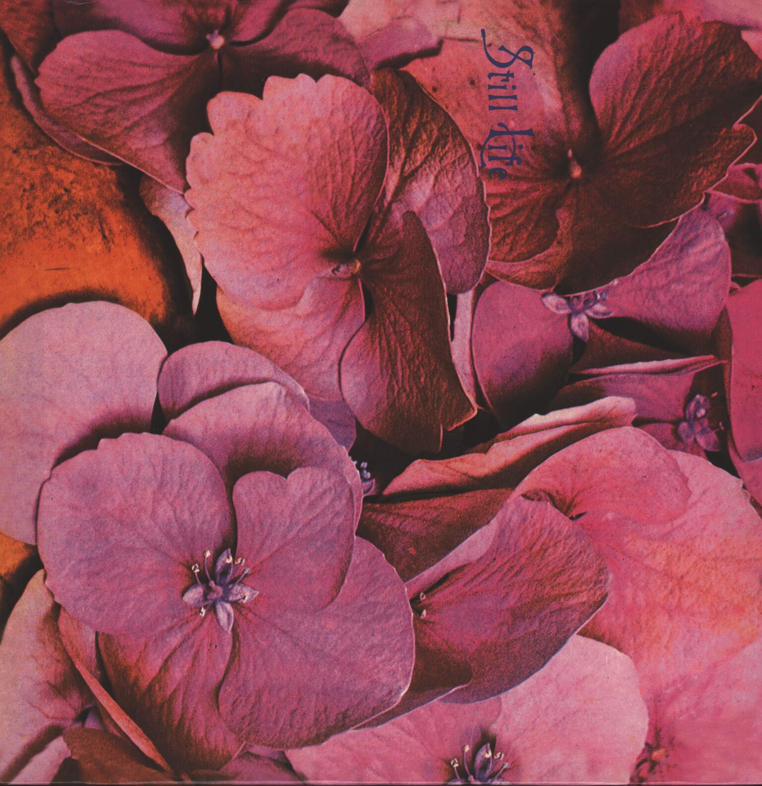 Still Life: Still Life, 1×LP (Vinyl)