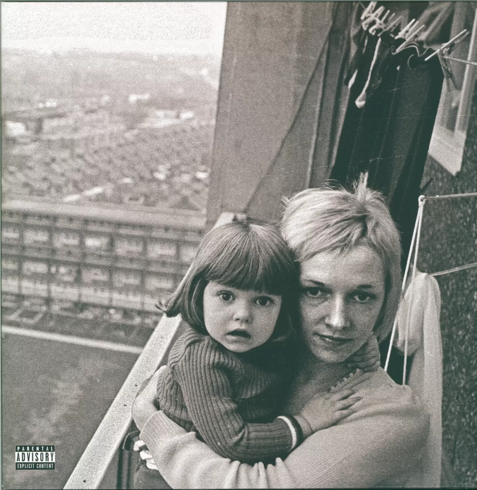 Gerry Cinnamon: The Bonny, 1×LP (Vinyl)